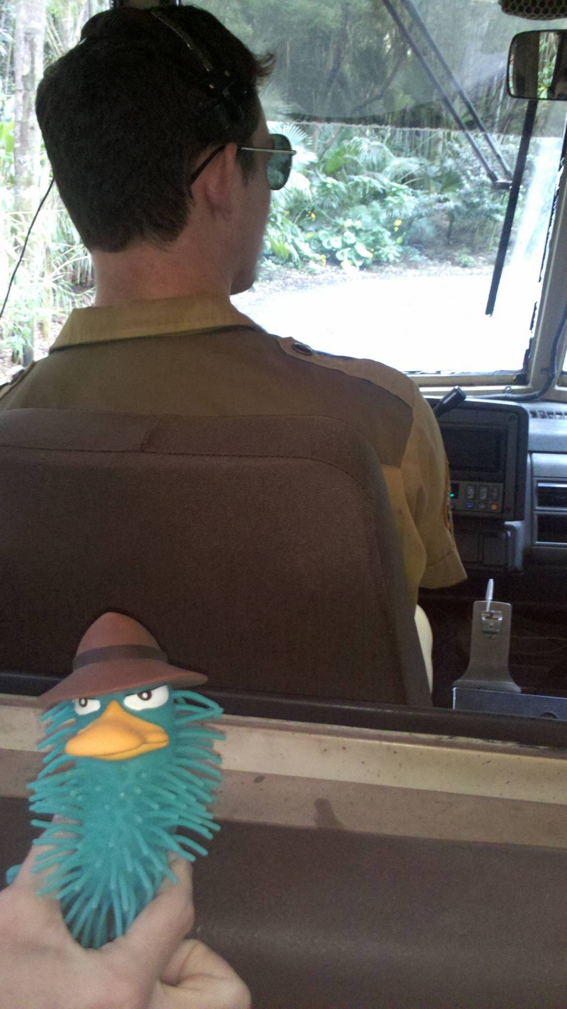 Agent P on Safari