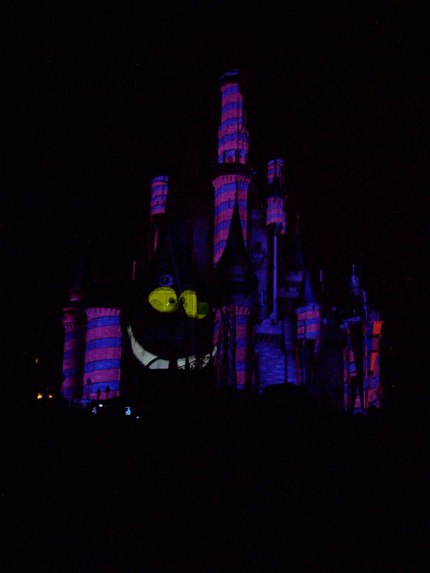 Cheshire Cat on the Castle