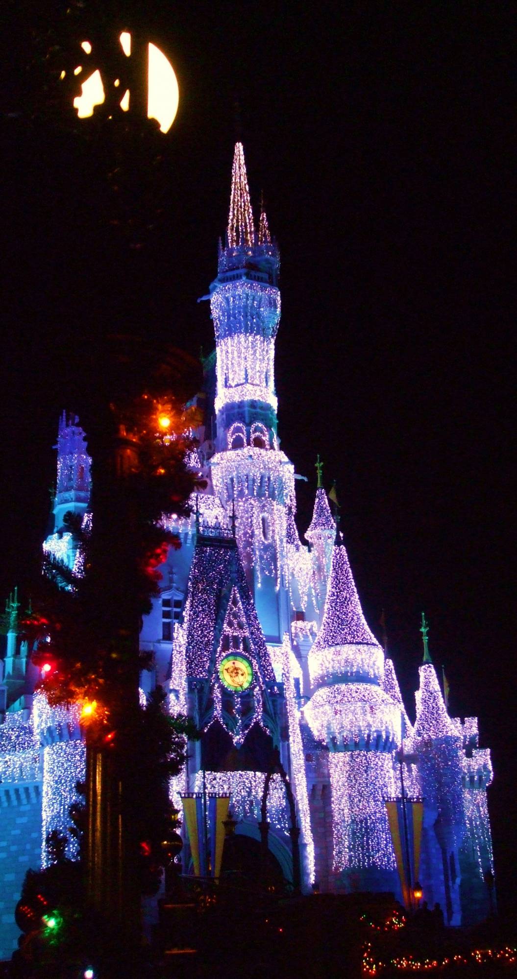Cinderella Castle- Christmas Lights