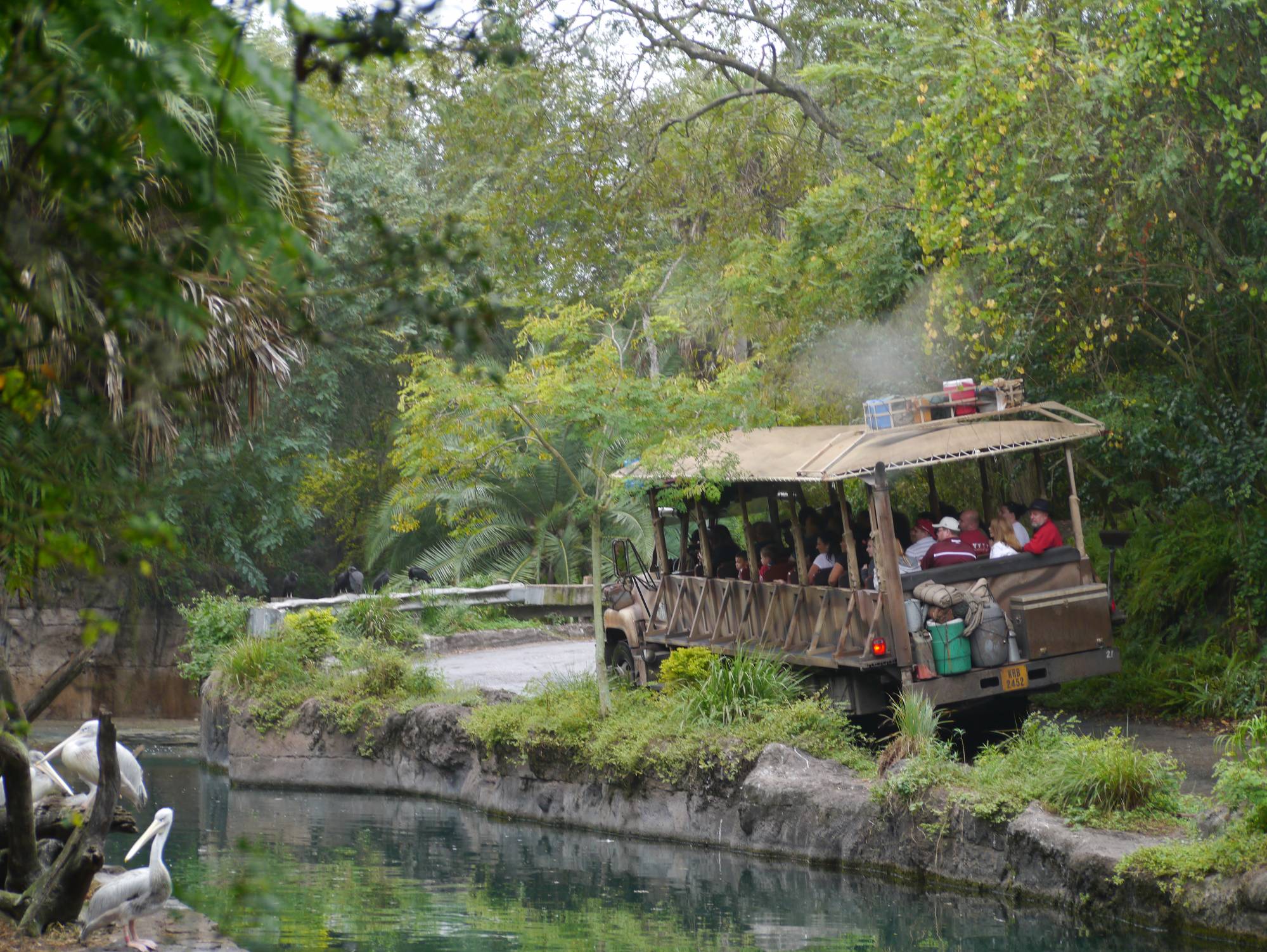 Animal Kingdom - Kilimanjaro Safaris