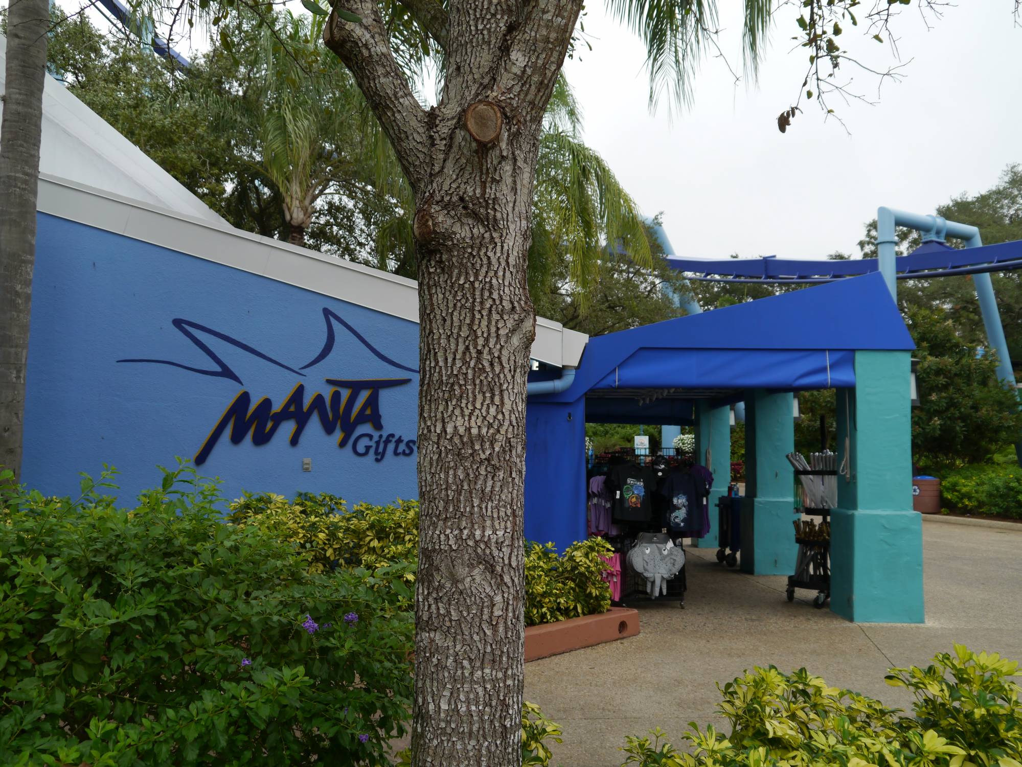 SeaWorld - Manta gifts