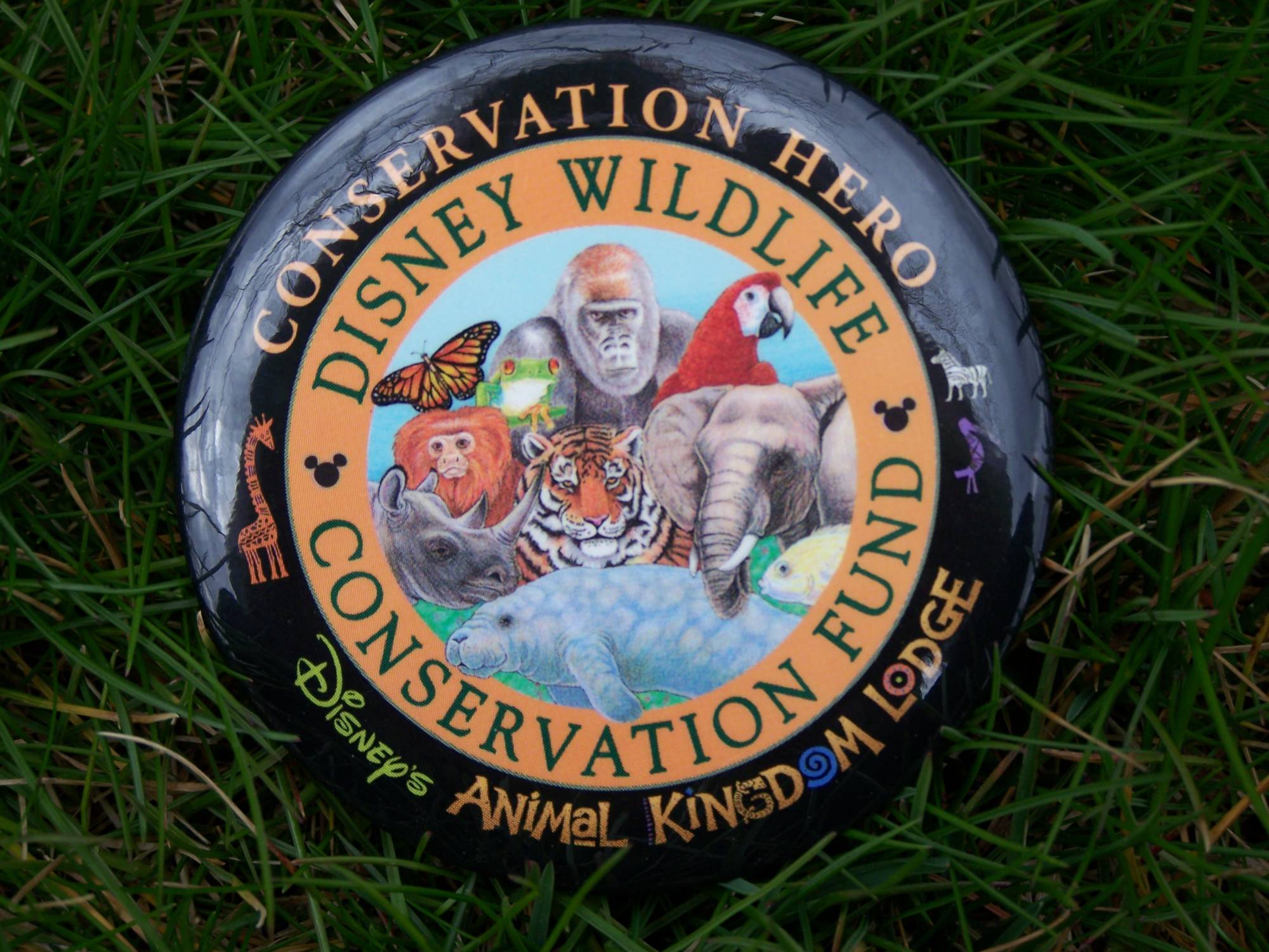 Disney Worldwide Conservation pin