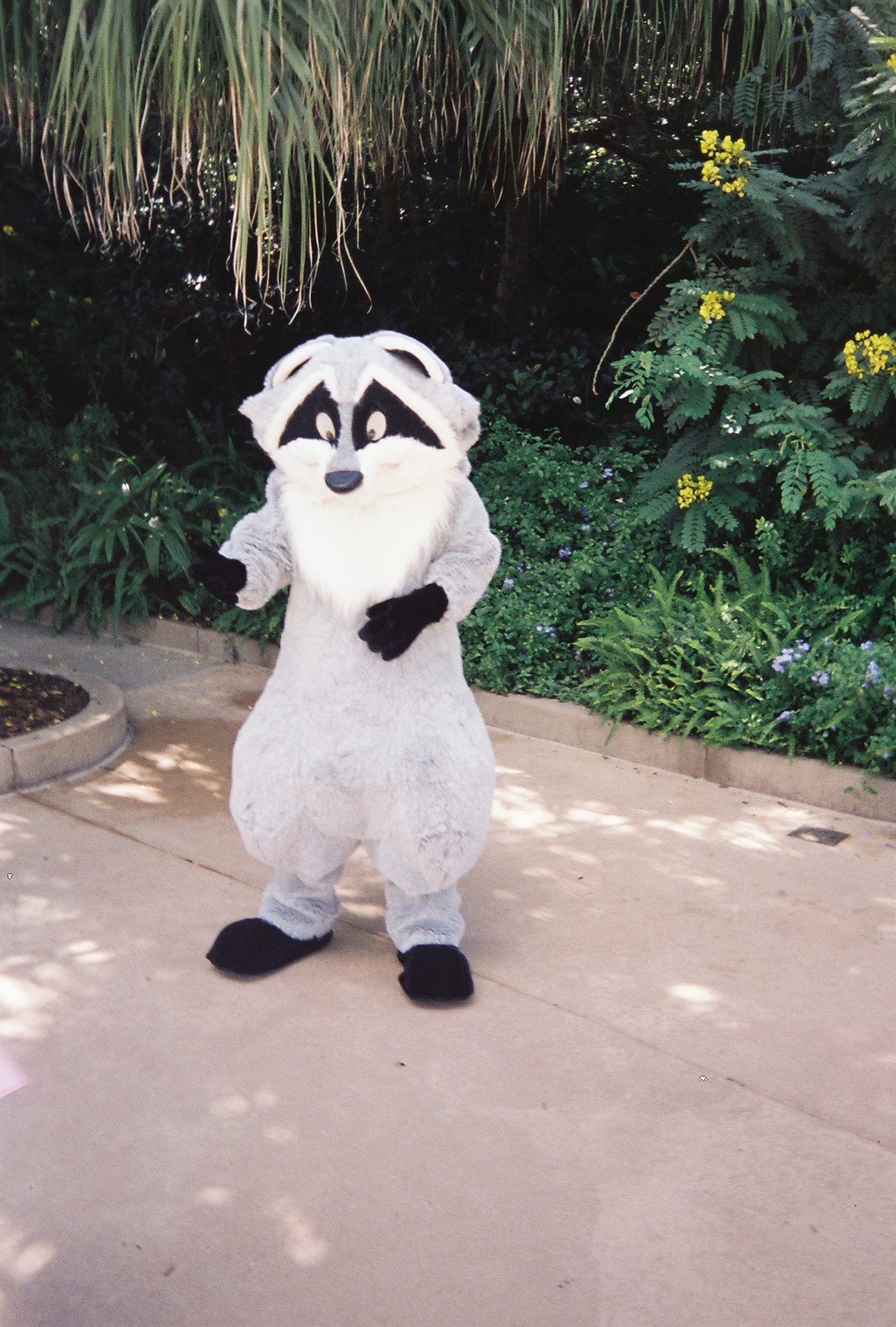 Animal Kingdom - Character Greeting