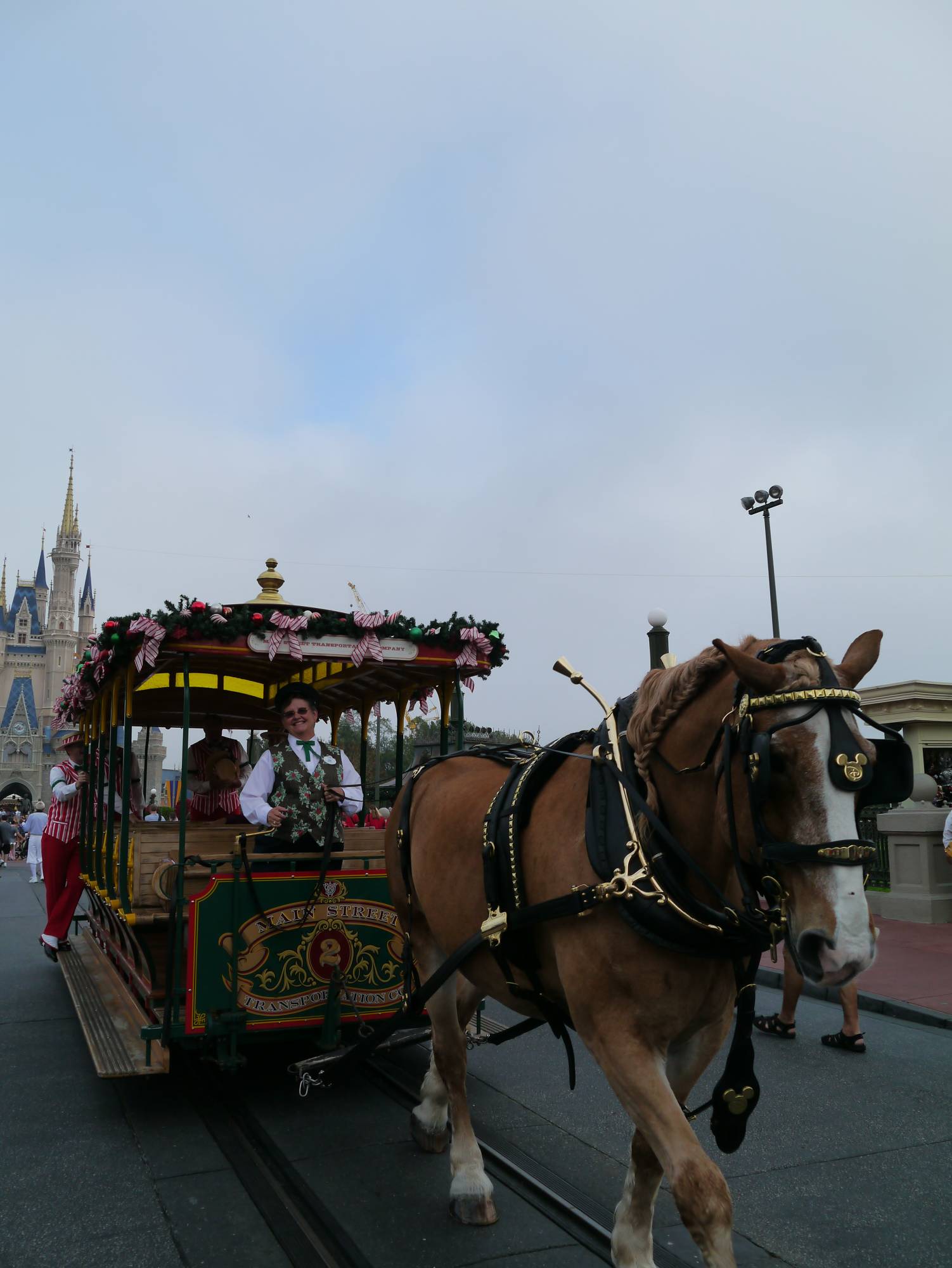 Magic Kingdom - Main Street horse and carriage
