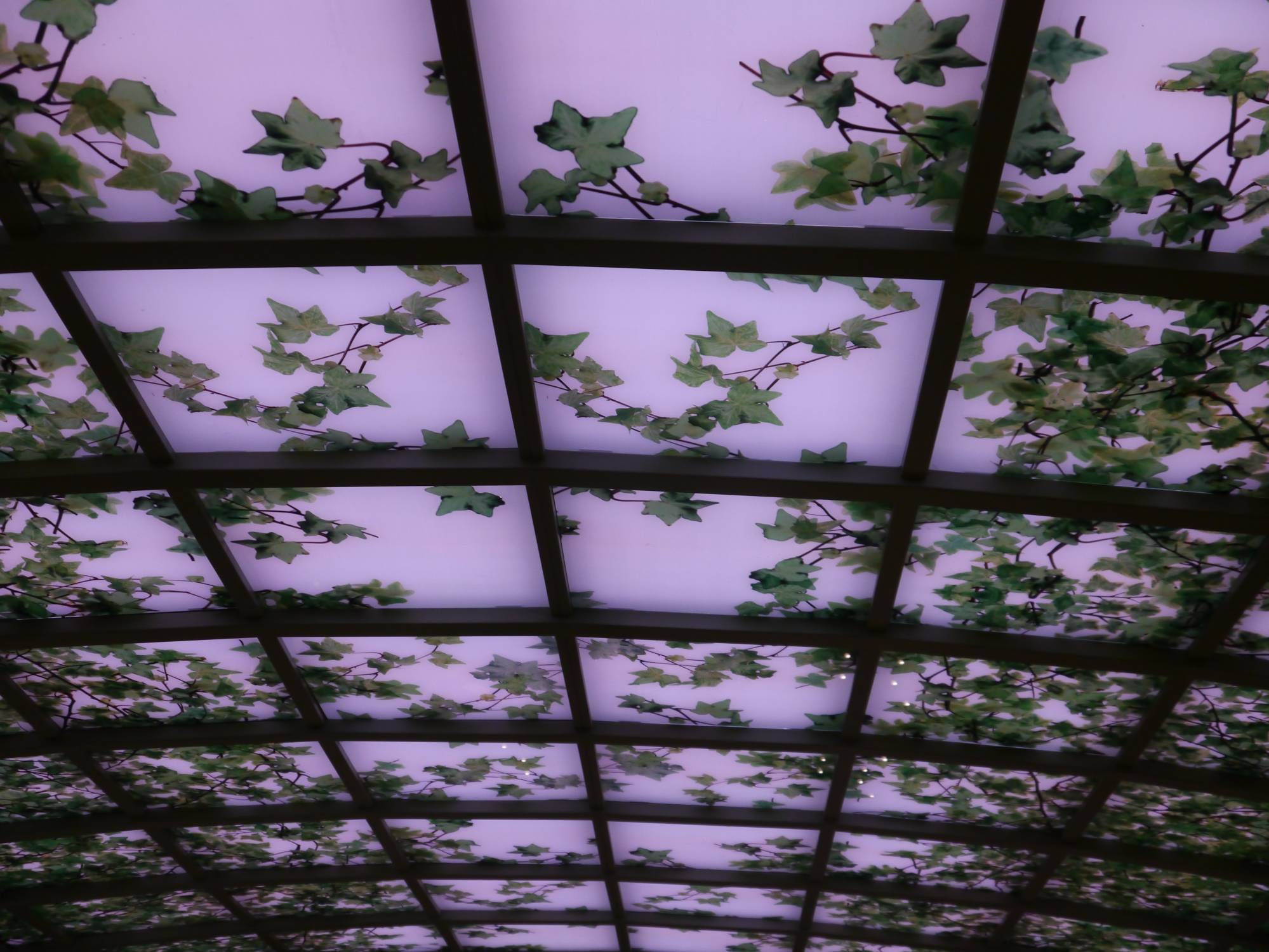Disney Fantasy - Enchanted Garden ceiling