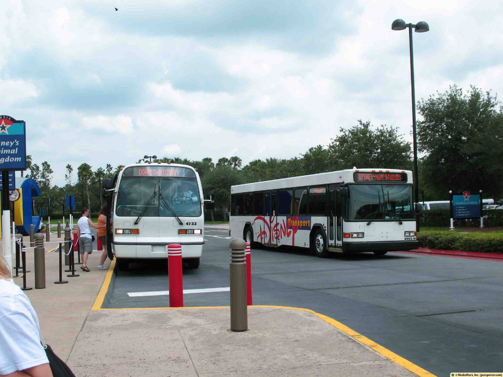 All-Star Music - Buses