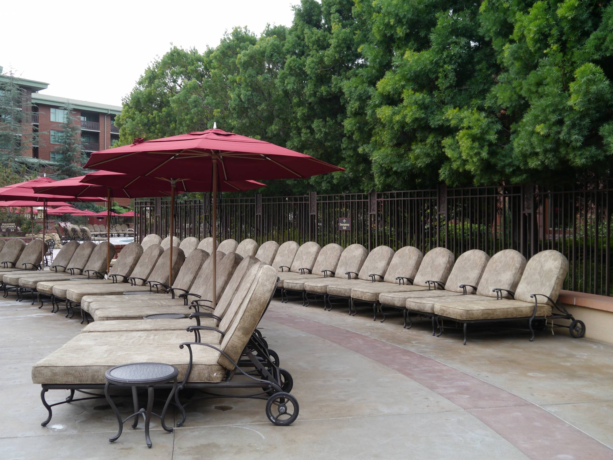 Grand Californian - loungers