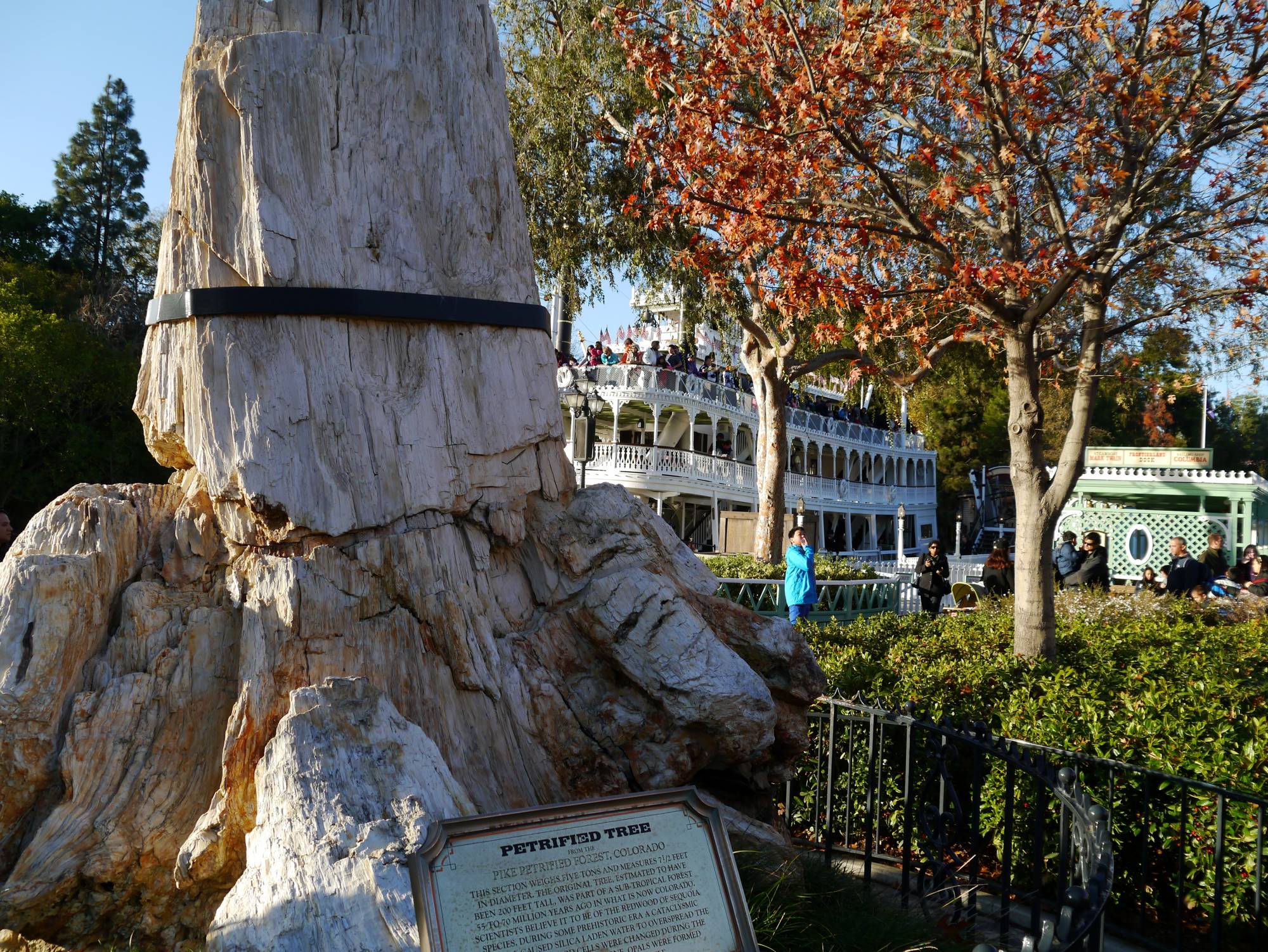 Disneyland Park - Petrified Tree and Mark Twain