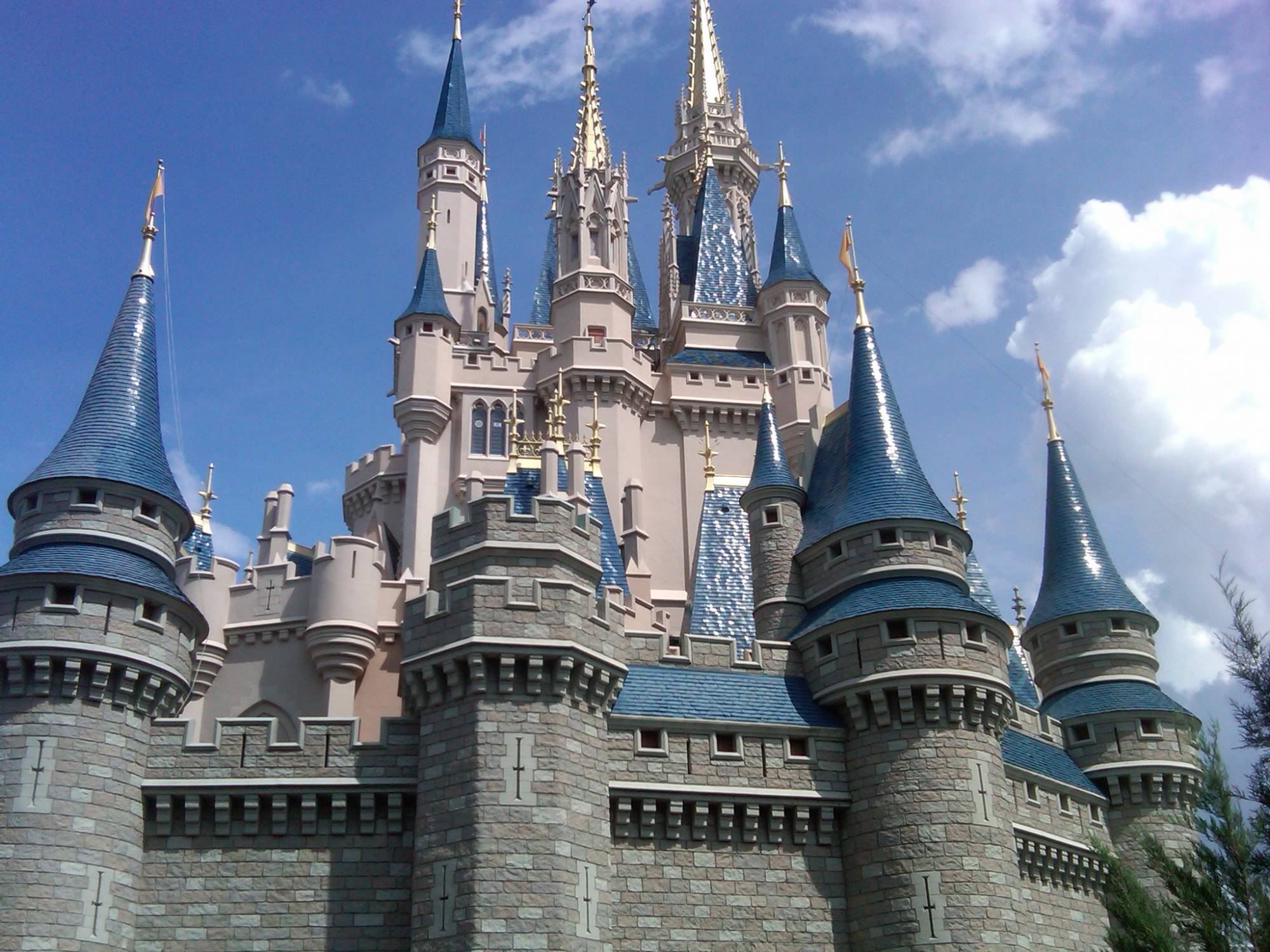 Cinderella's Castle