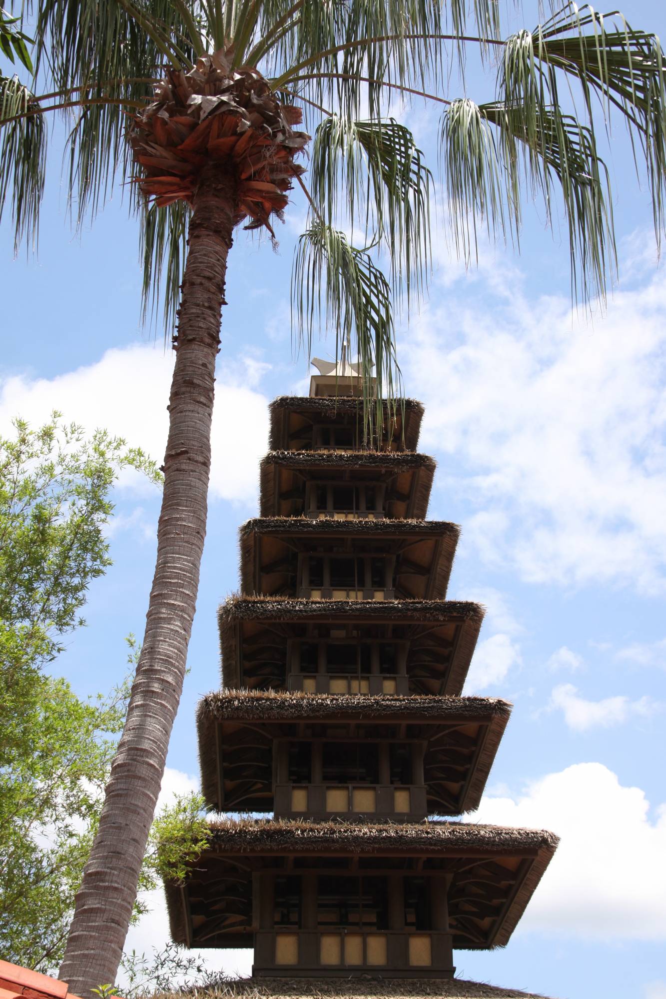Outside of the Tiki Room