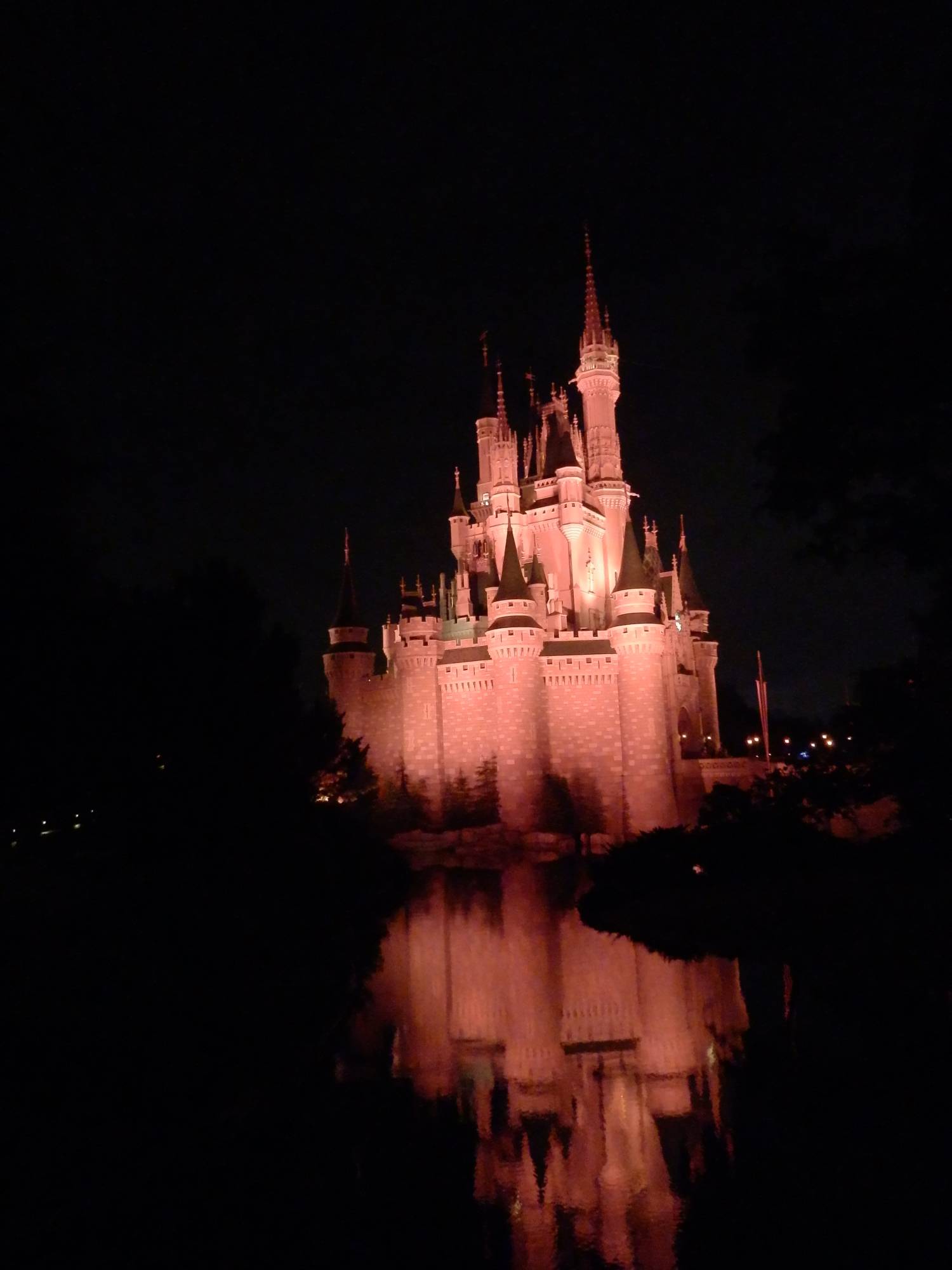 Cinderella's Castle