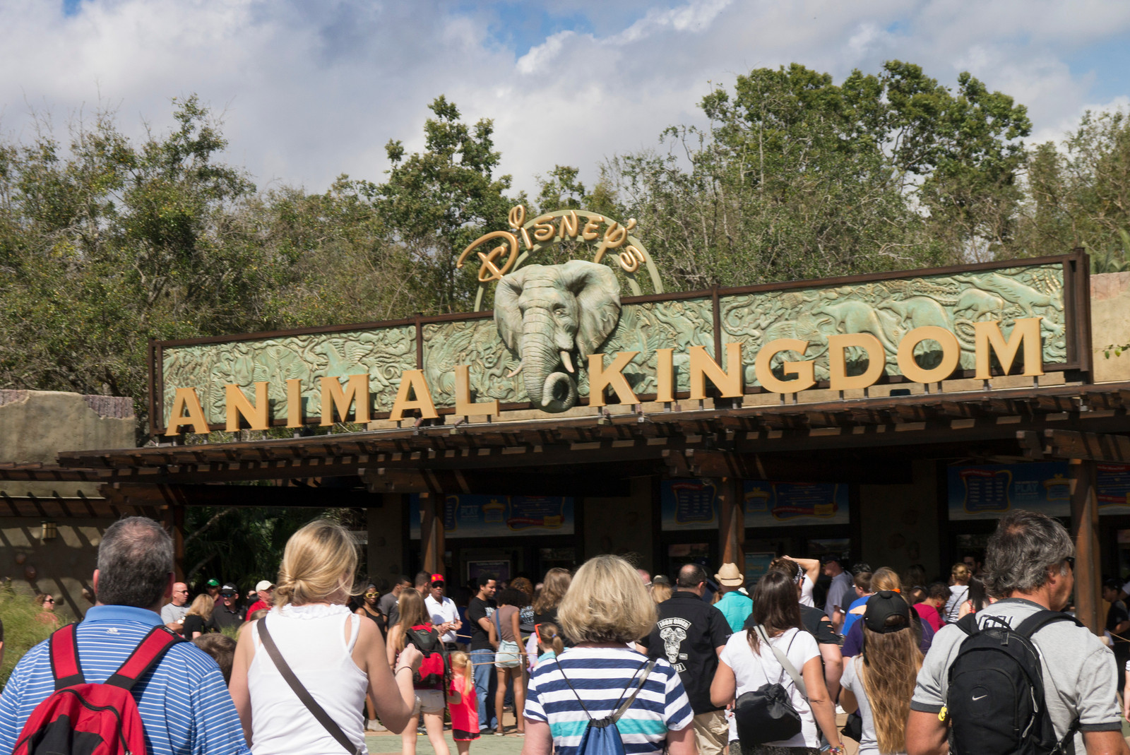 Animal Kingdom - Entrance