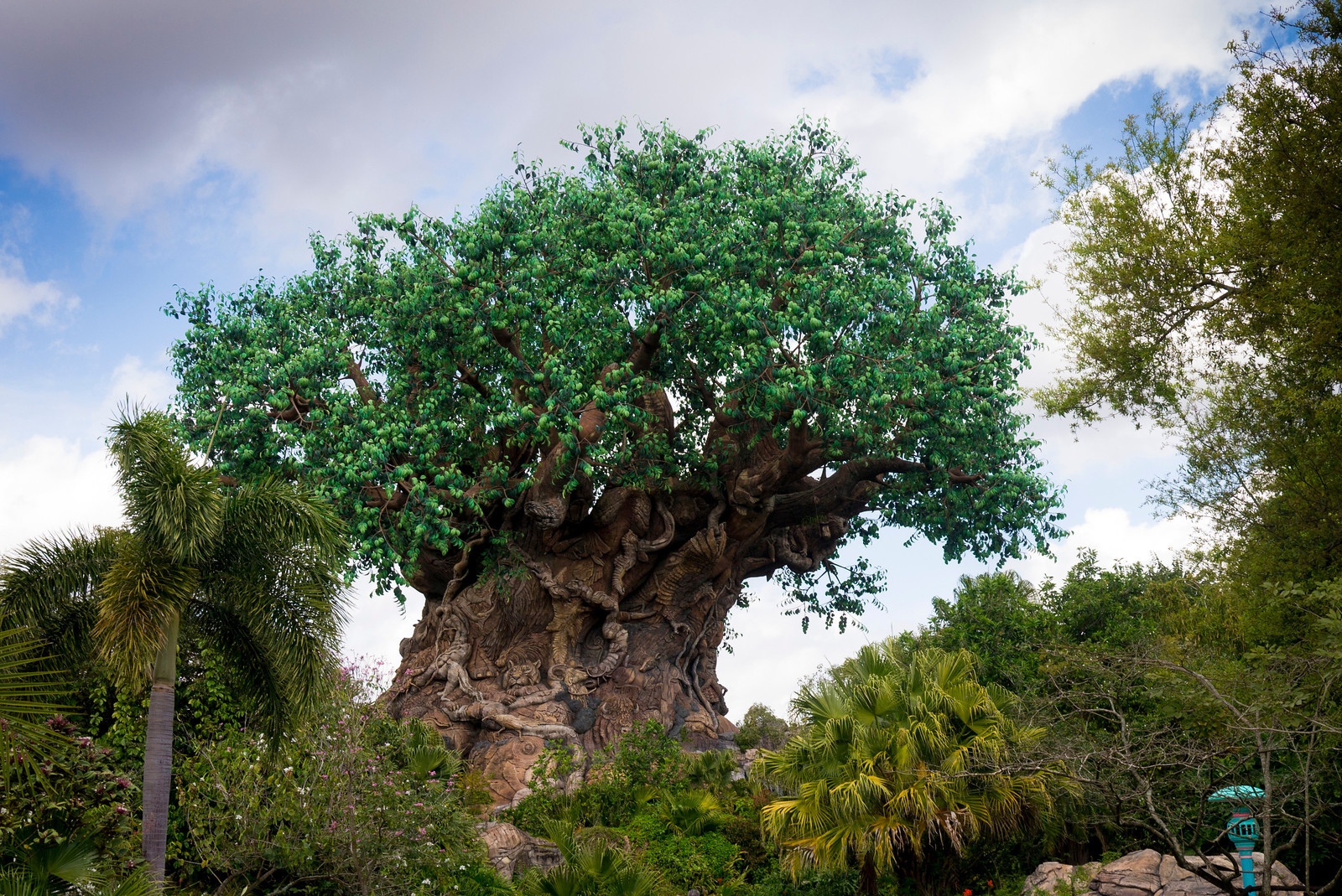 Animal Kingdom - The Tree Life