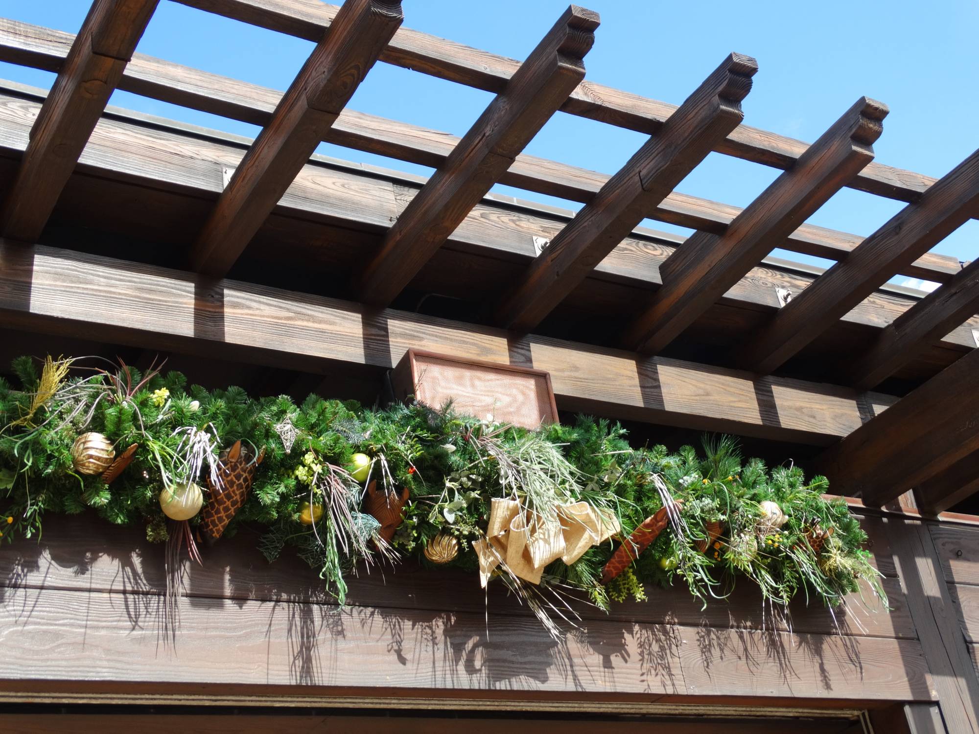 Animal Kingdom - Christmas wreath