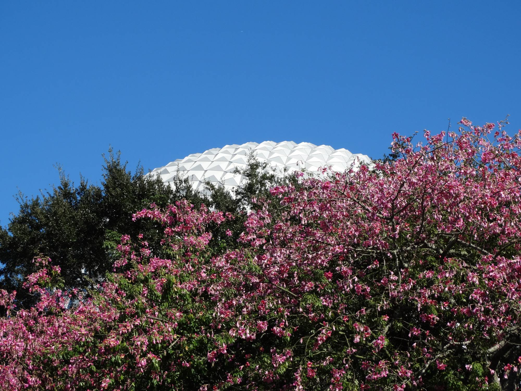 Epcot - Spaceship Earth