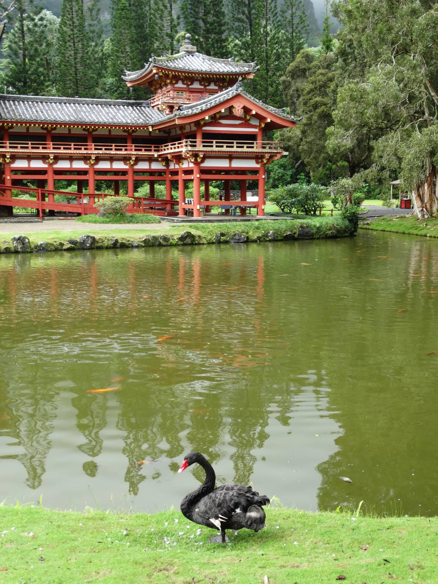 Oahu - Byodo-In Temple