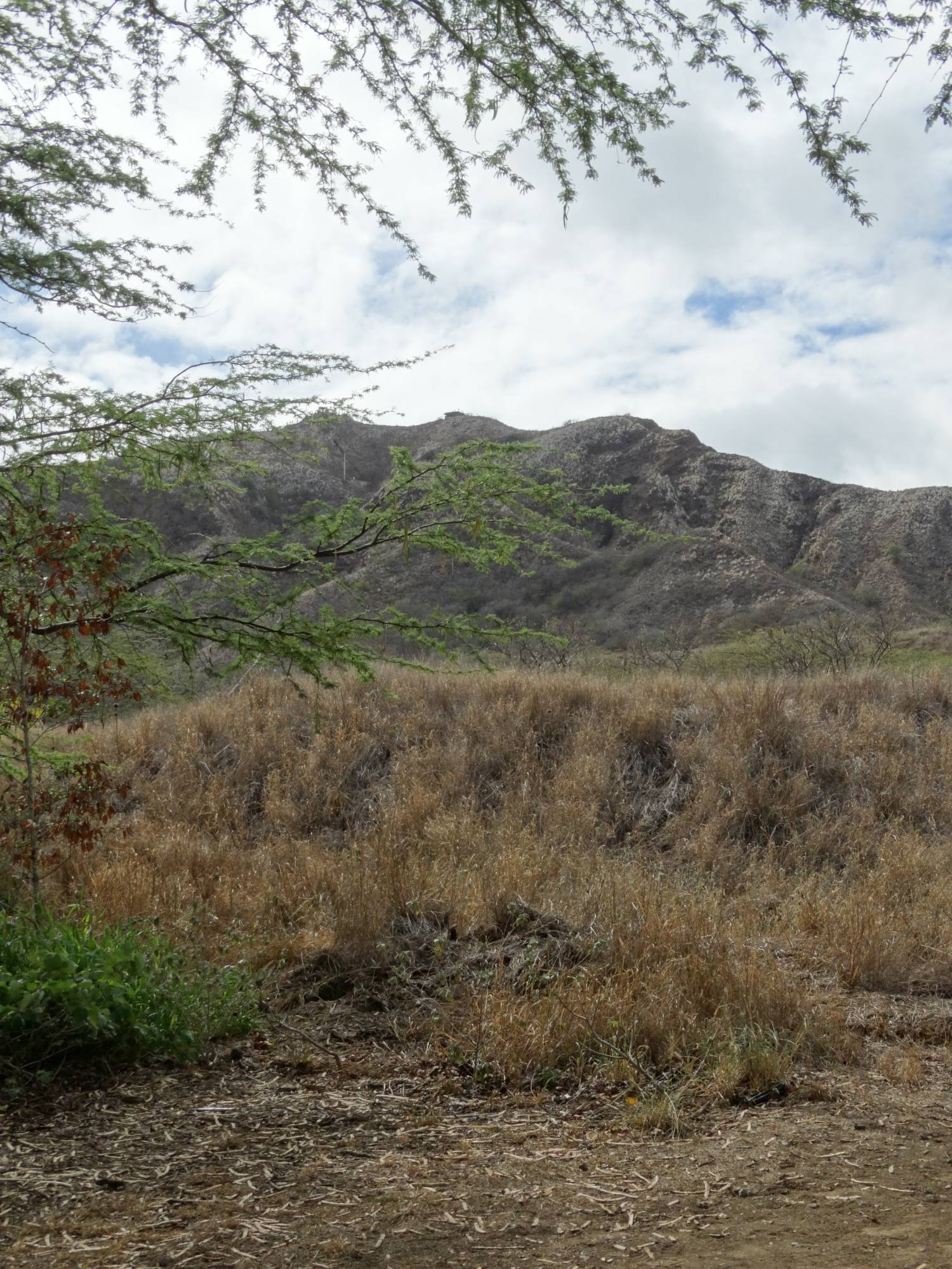 Oahu - Diamond Head State Monument