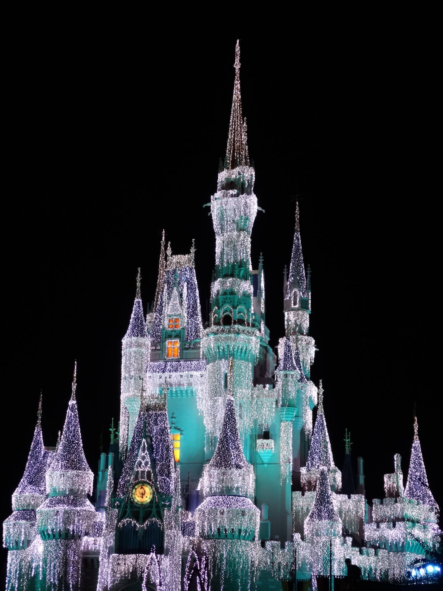 Magic Kingdom - ice castle