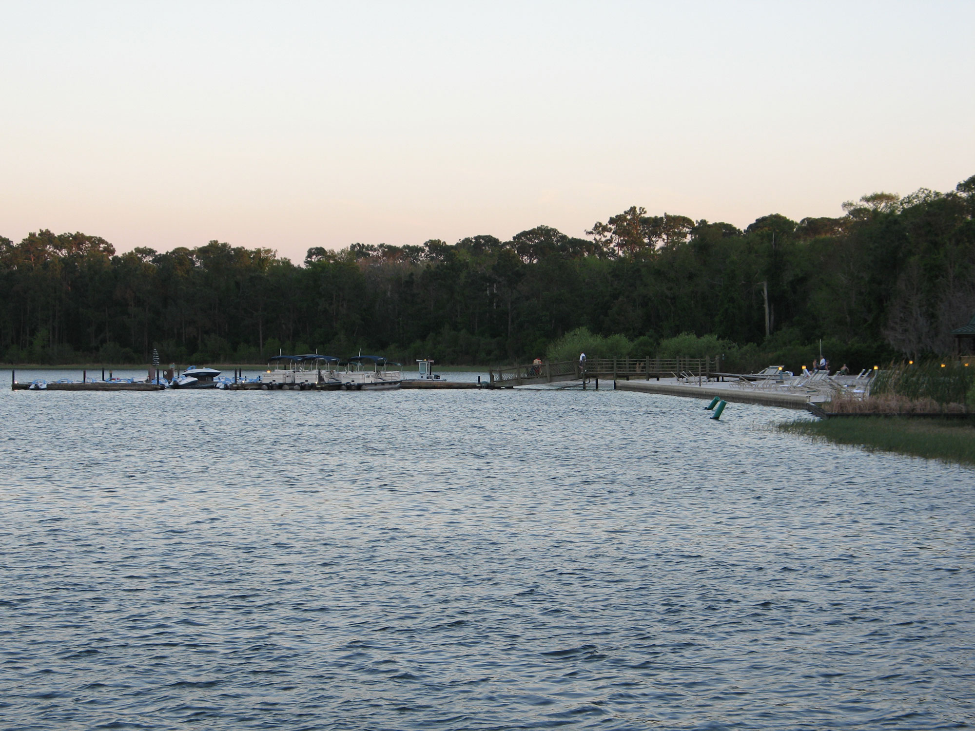 Wilderness Lodge beach at sunset