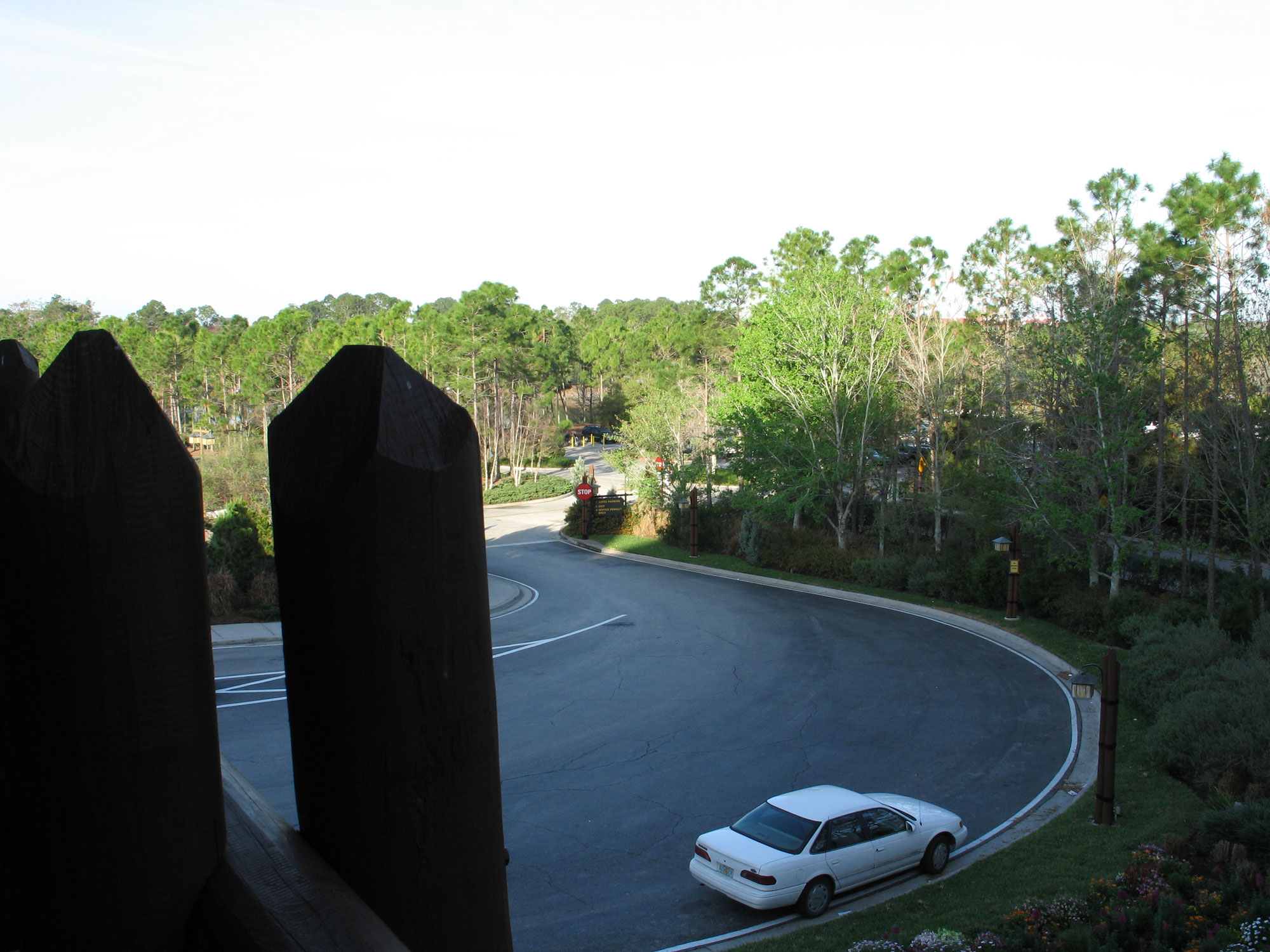 WIlderness Lodge Entrance from roof