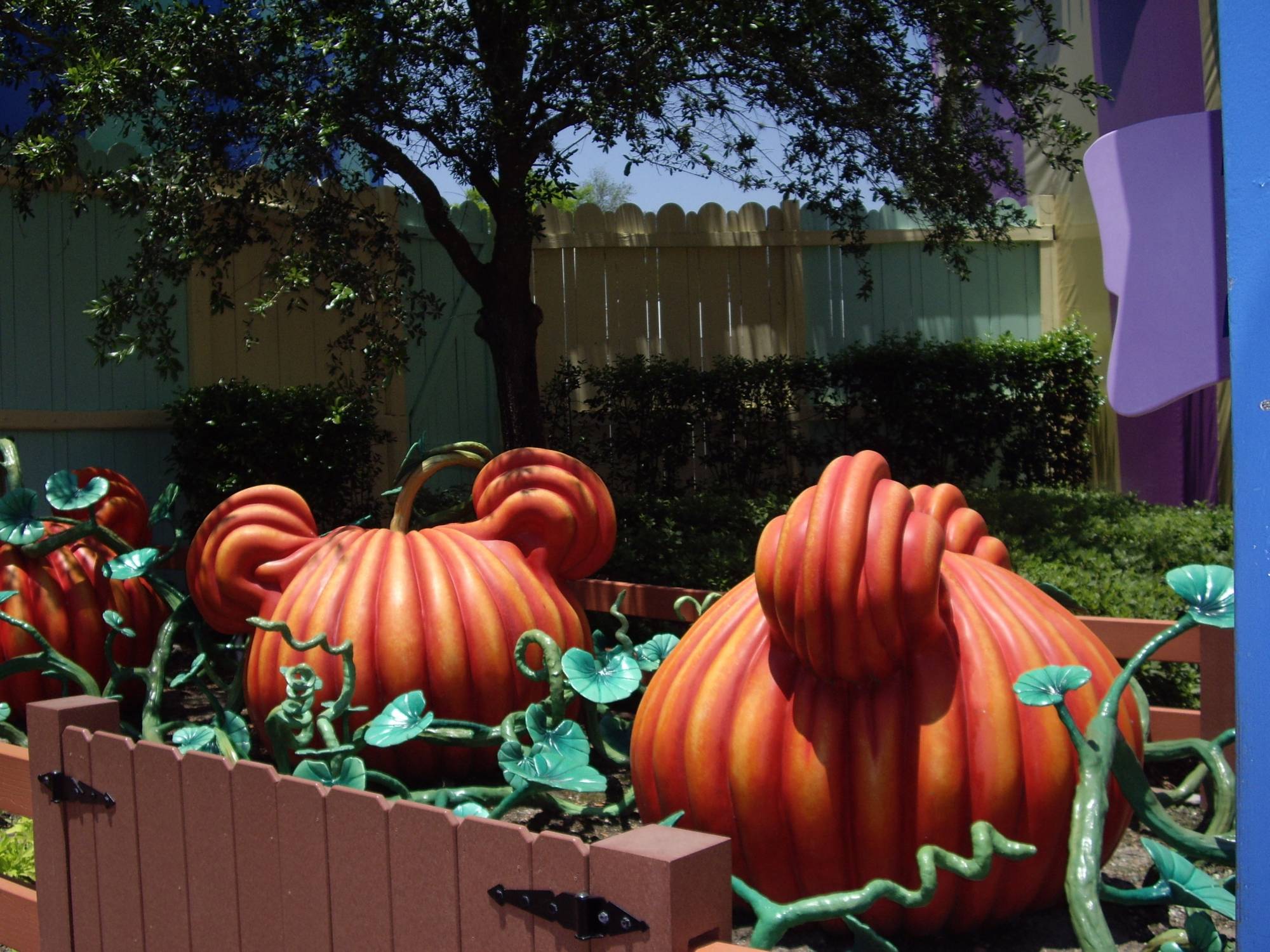 Magic Kingdom - Toontown Pumpkins