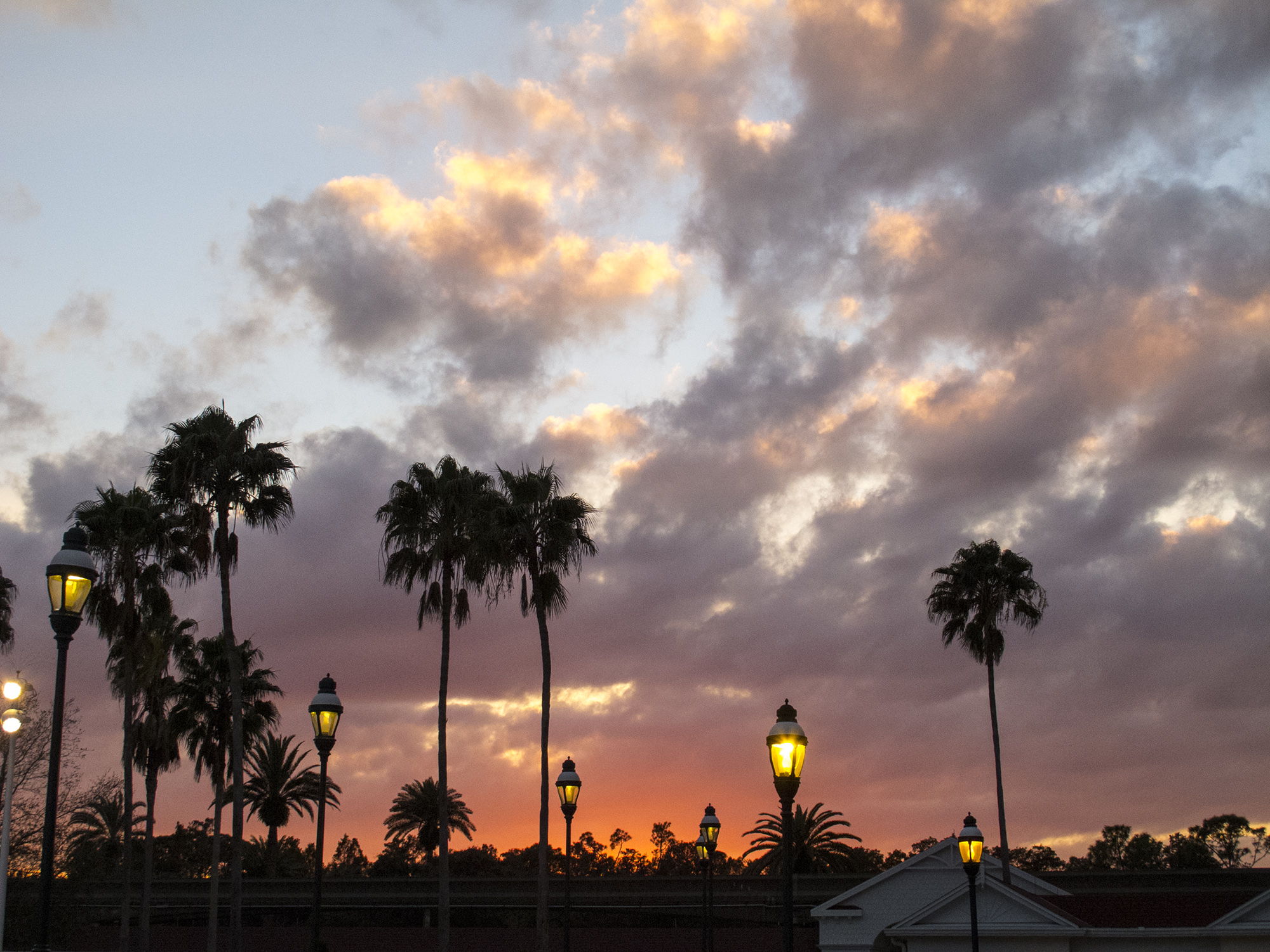 Grand Floridian grounds