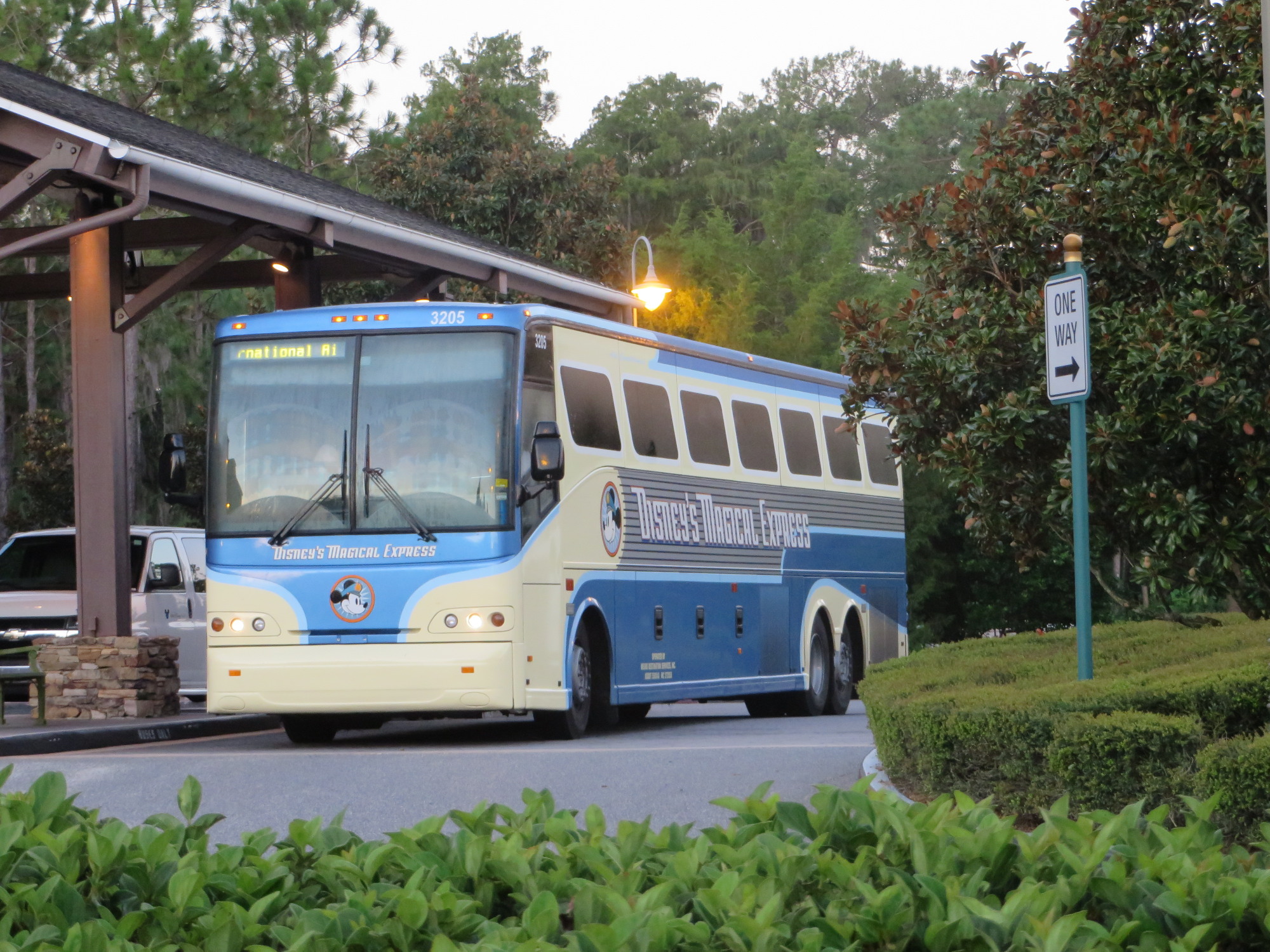 Saratoga Springs - Disney's Magical Express Bus