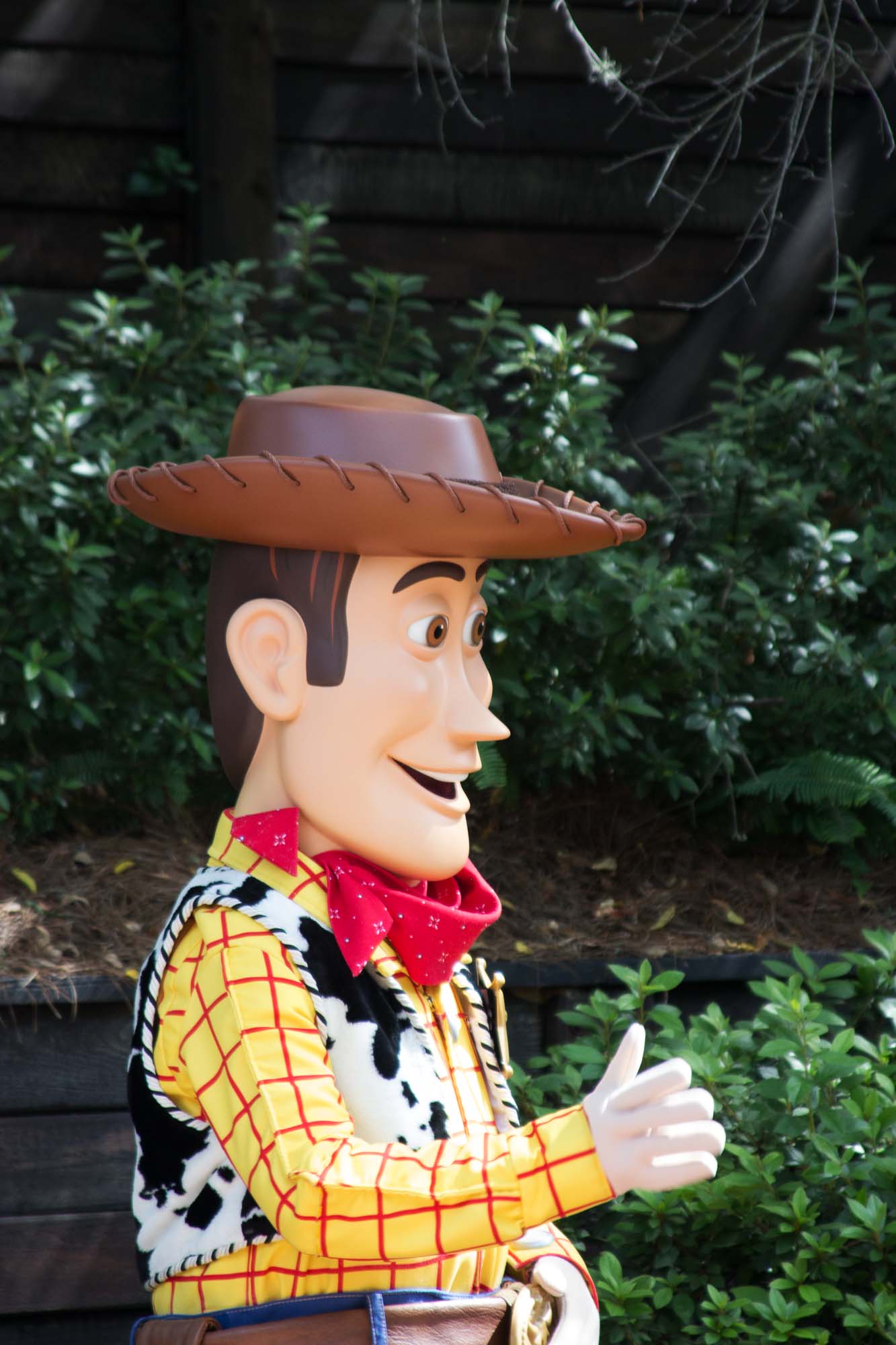 Frontierland - Woody