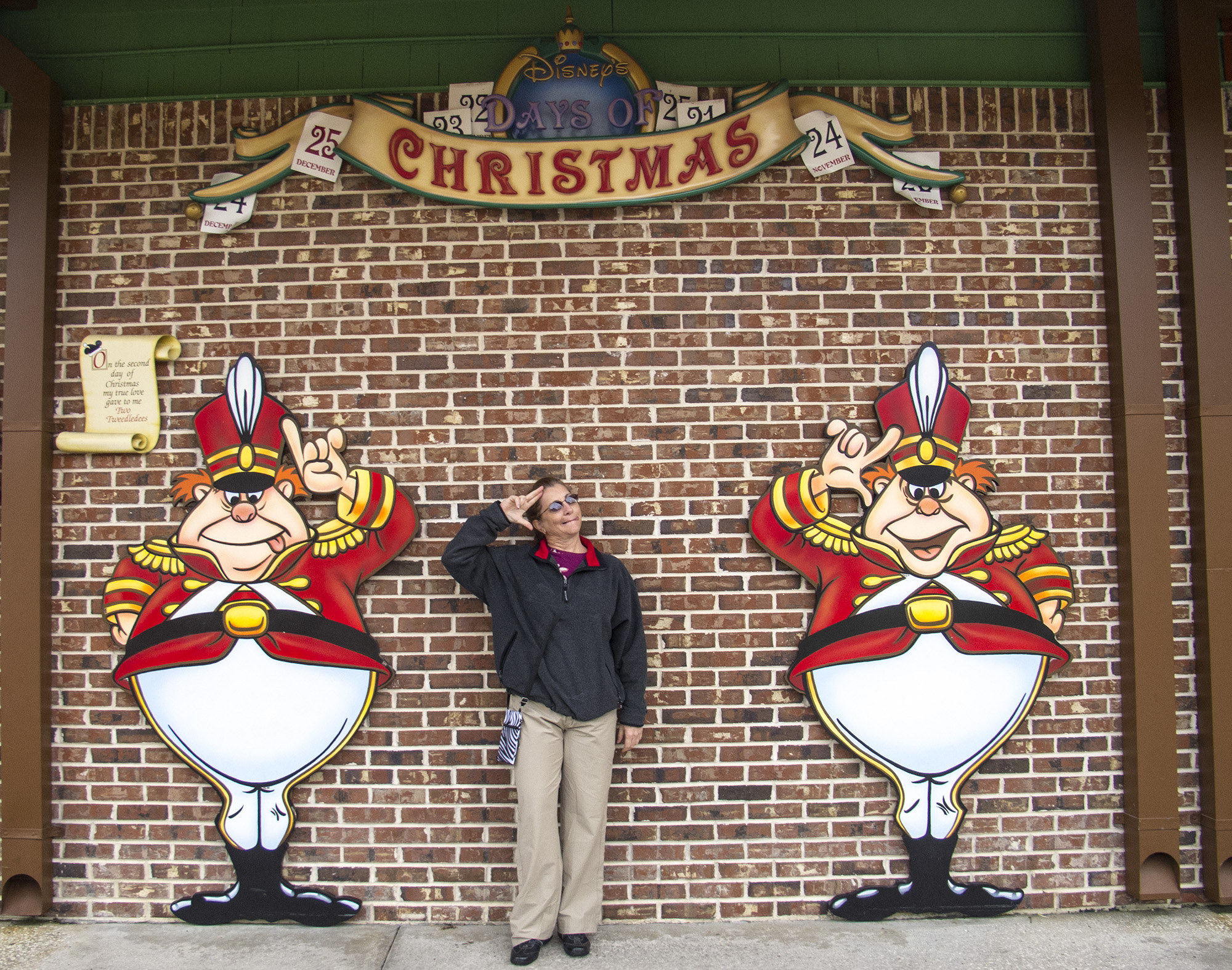 Downtown Disney Christmas time