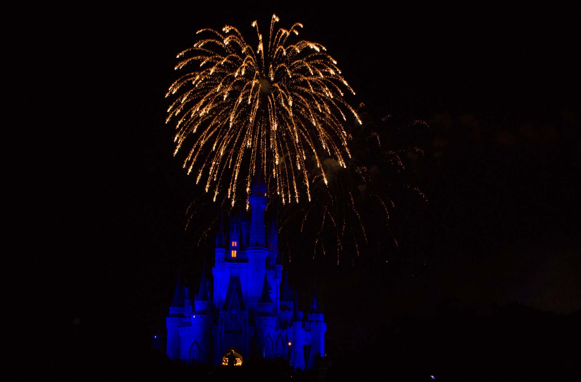 Wishes - Fireworks Above the Castle