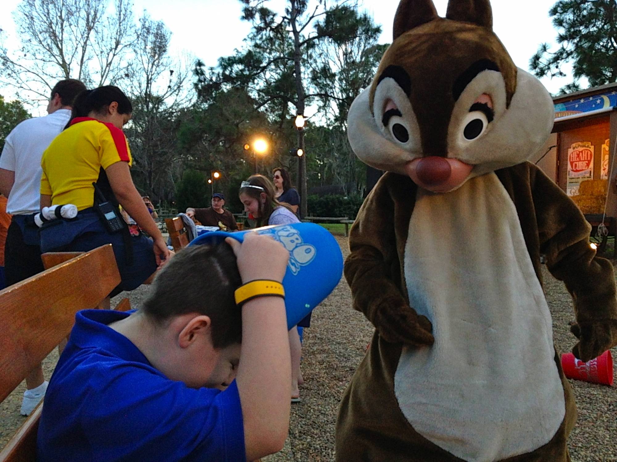 Chip 'n Dale's Campfire Sing-a-long at Fort Wilderness