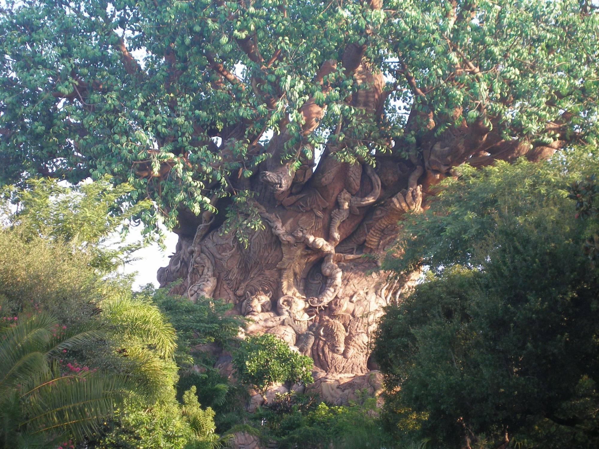 Animal Kingdom-Tree of Life