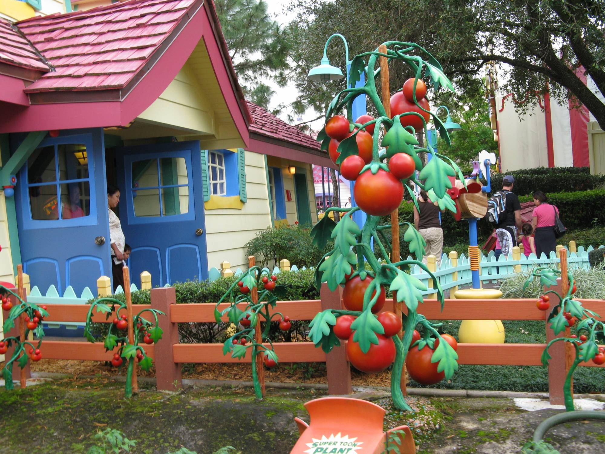Magic Kingdom - Toontown Mickeys Tomato Plants