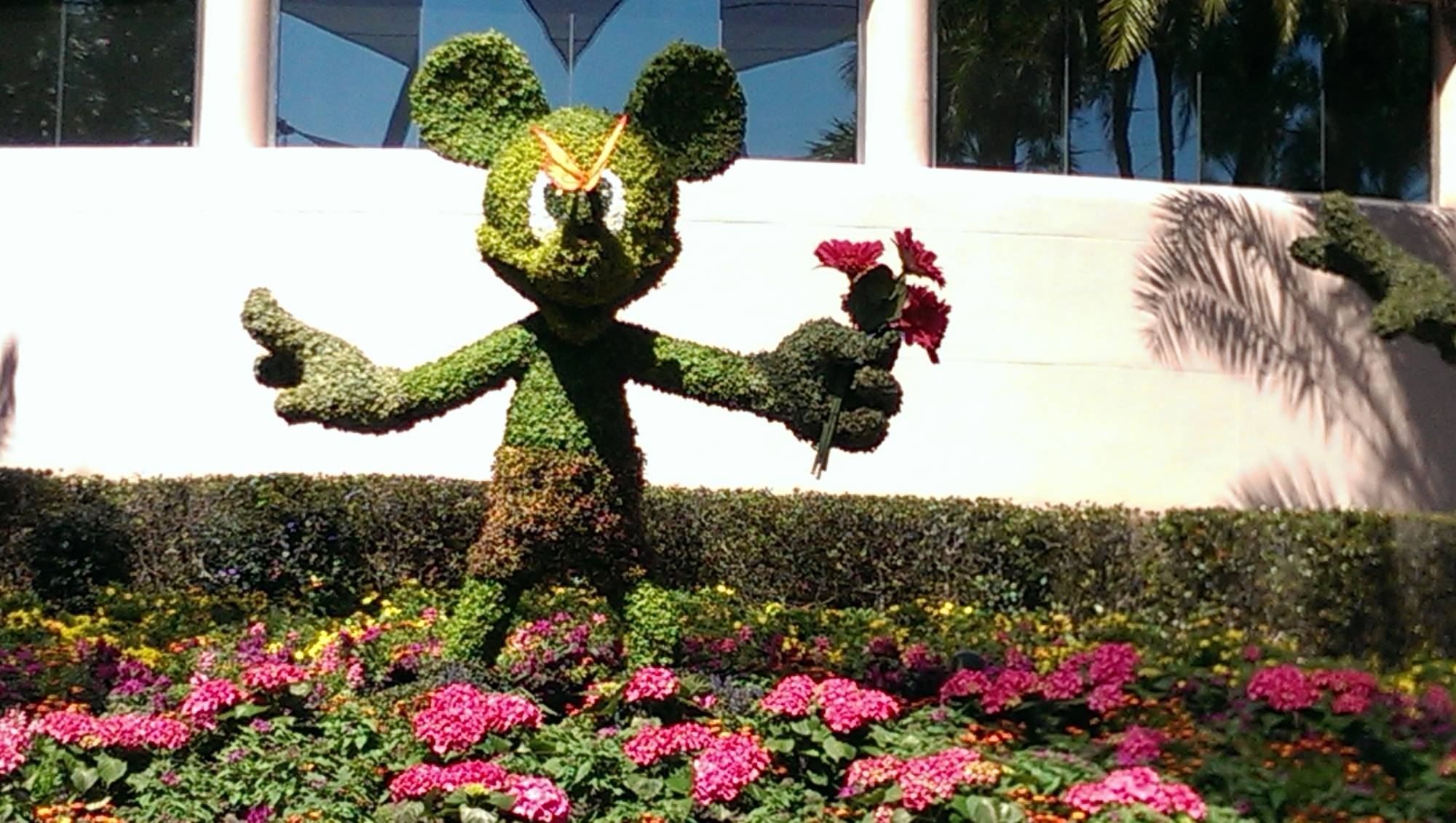 Mickey  Flower and Garden 2014