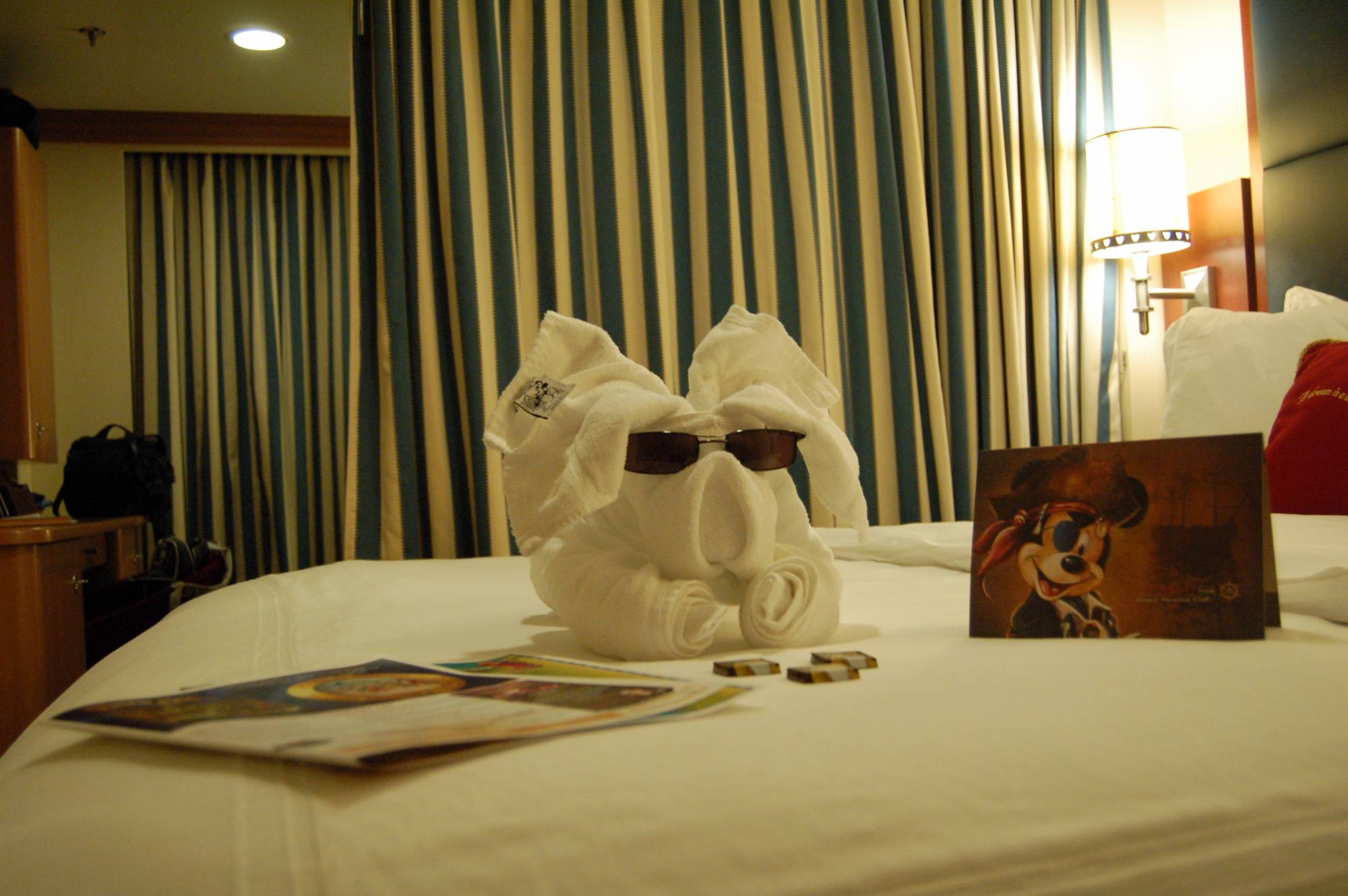 Disney Dream--Towel Animals left during evening turn-down