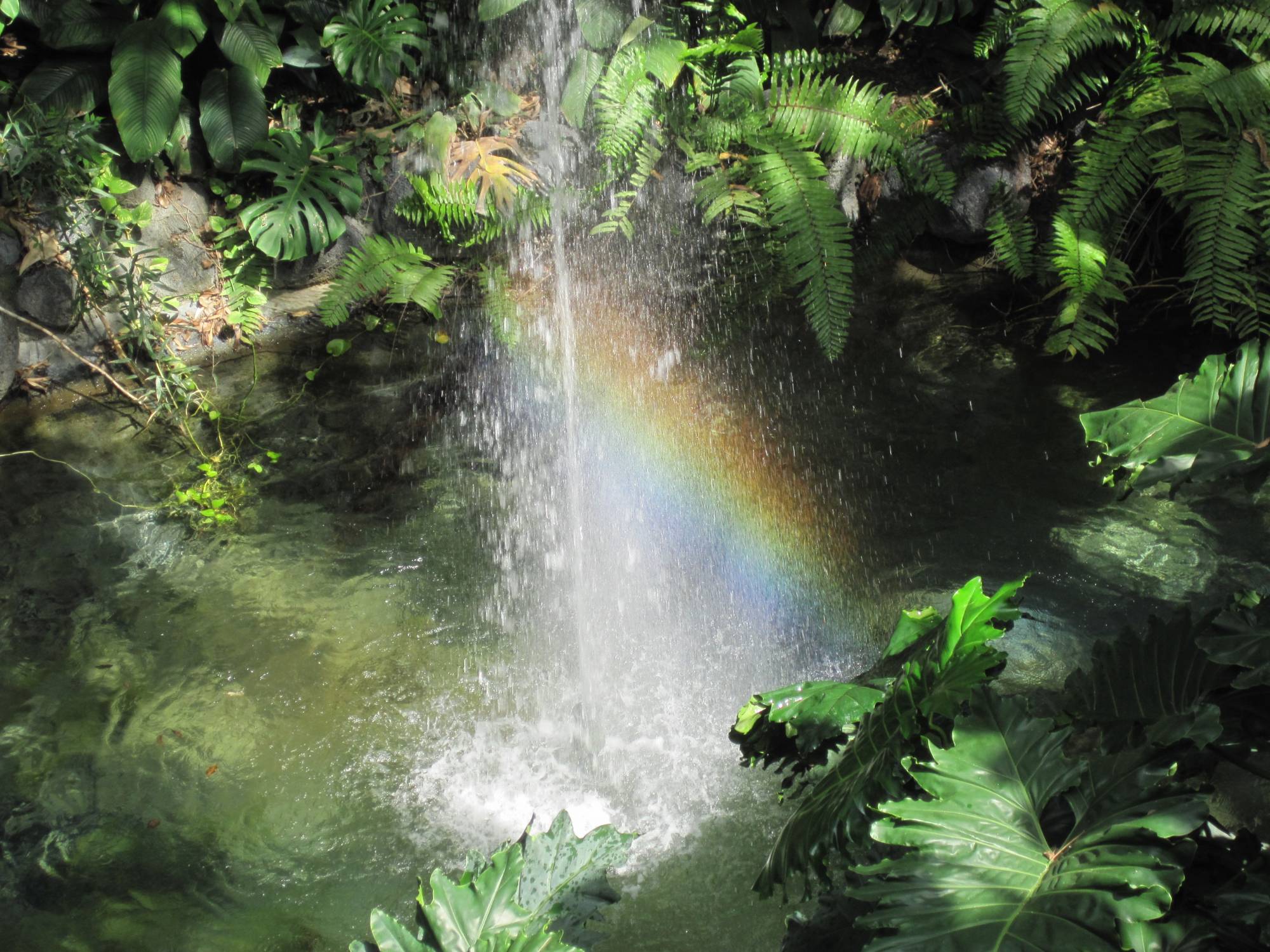 Rainbow at the Polynesian
