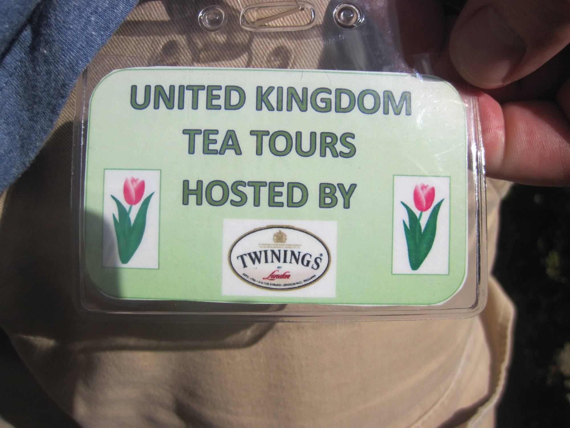 Tea Caddy Garden Tour