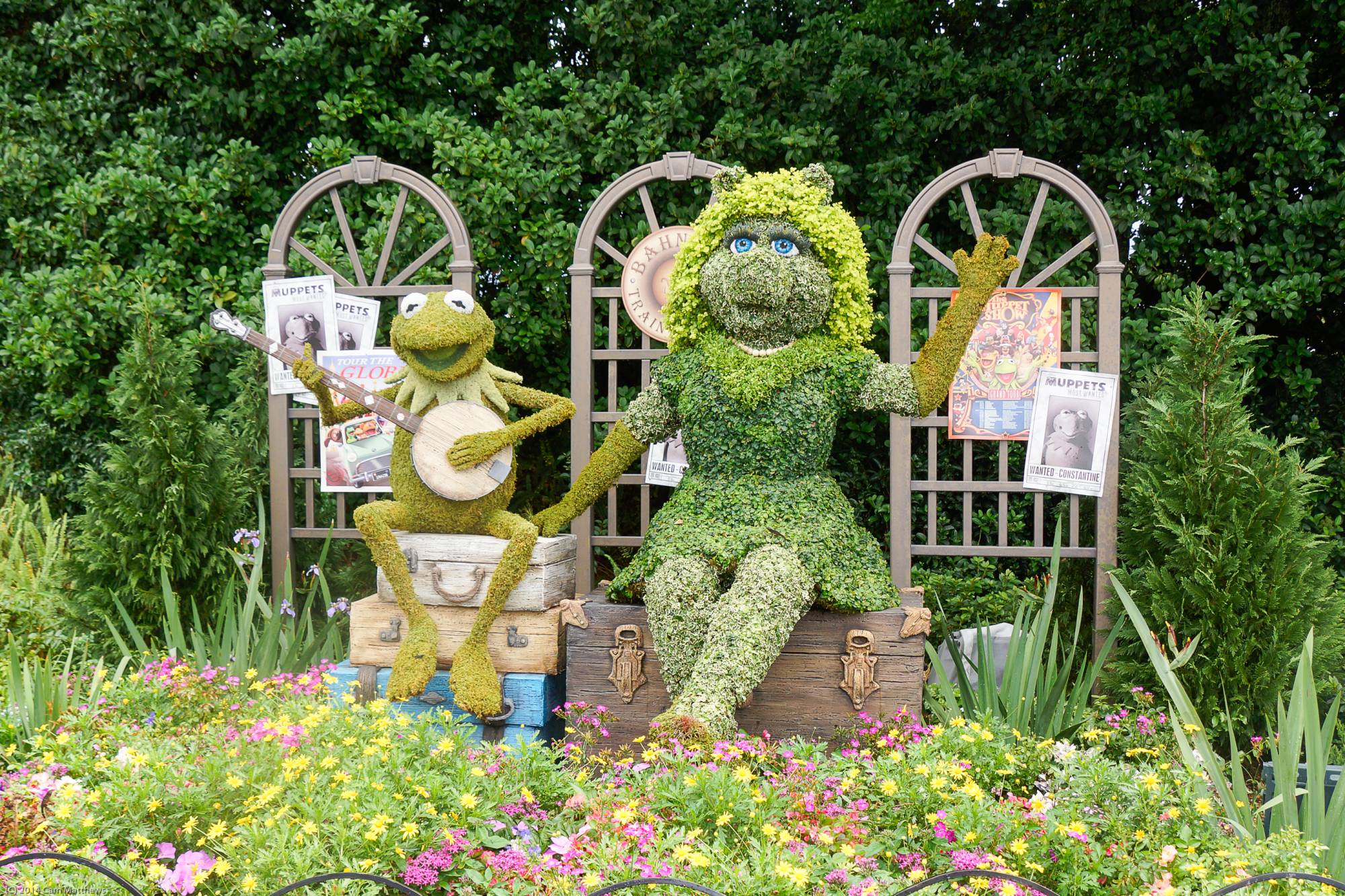 Kermit and Miss Piggy Topiaries 04