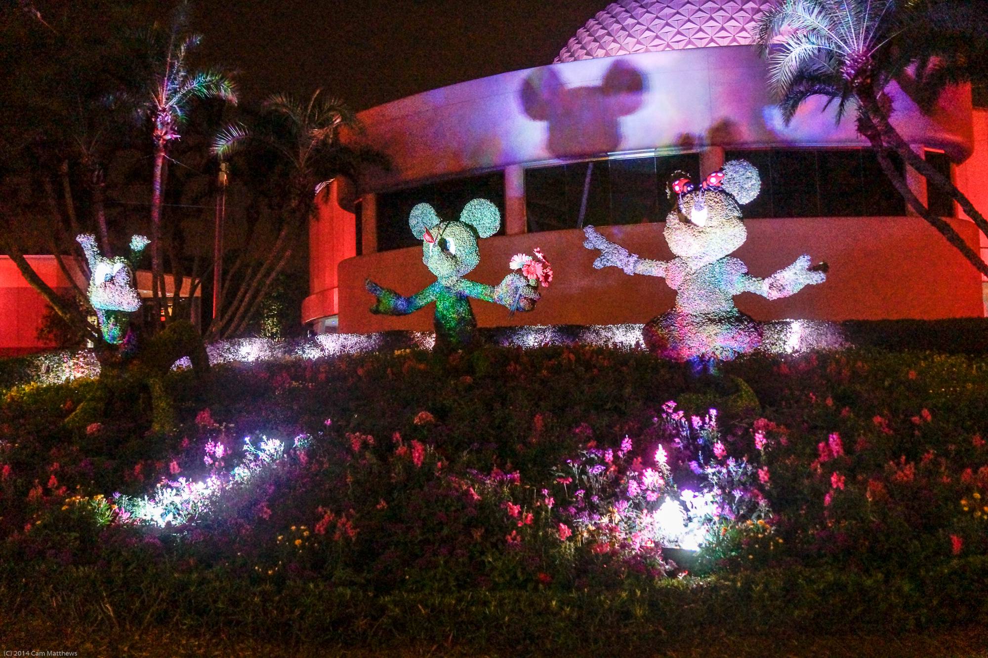 Mickey, Minnie, and Pluto Topiaries at Night 01