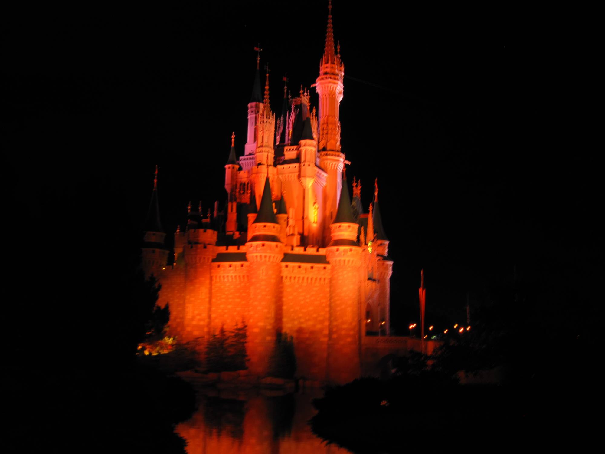 Magic Kingdom