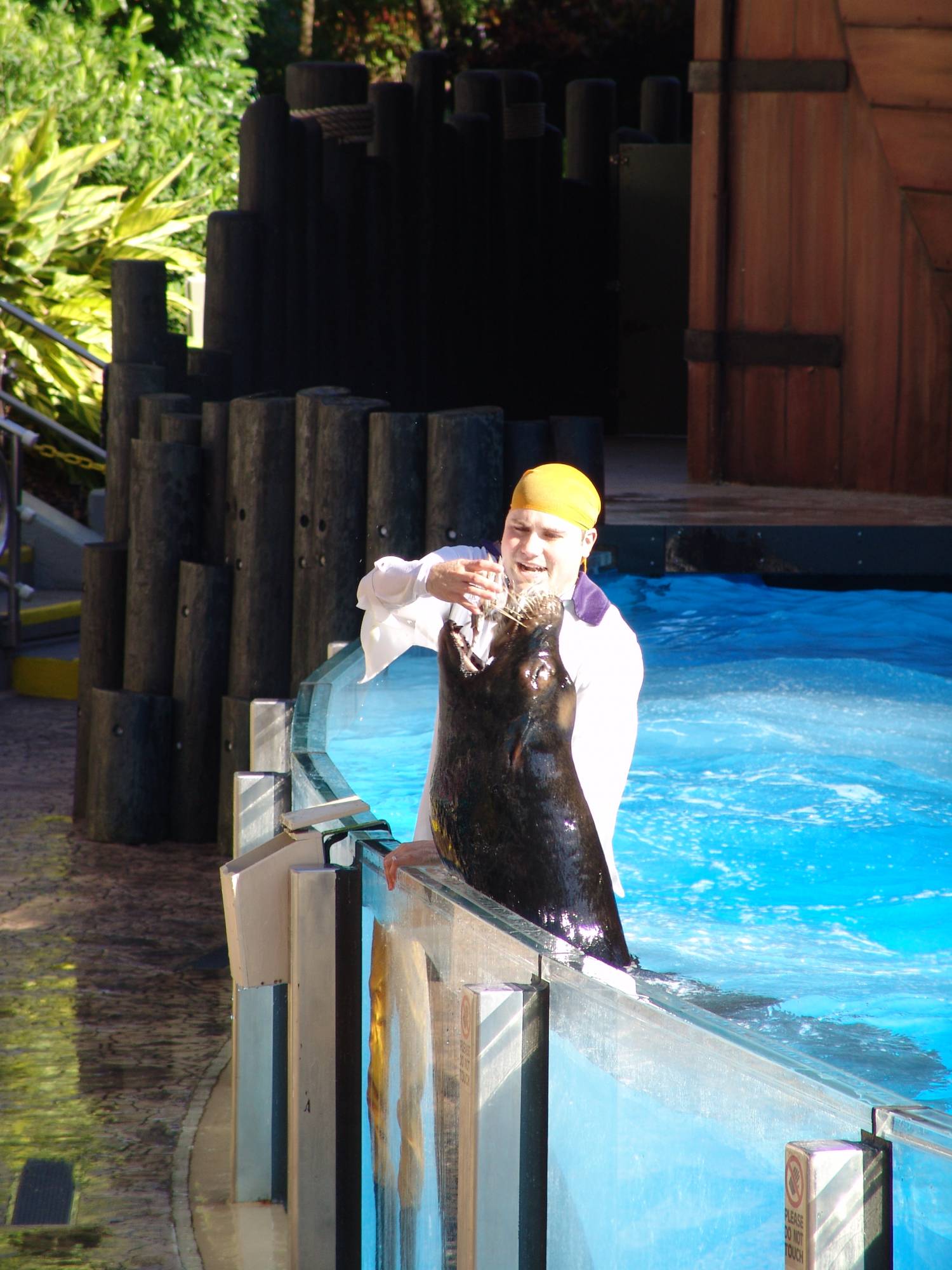 SeaWorld - Clyde and Seamore