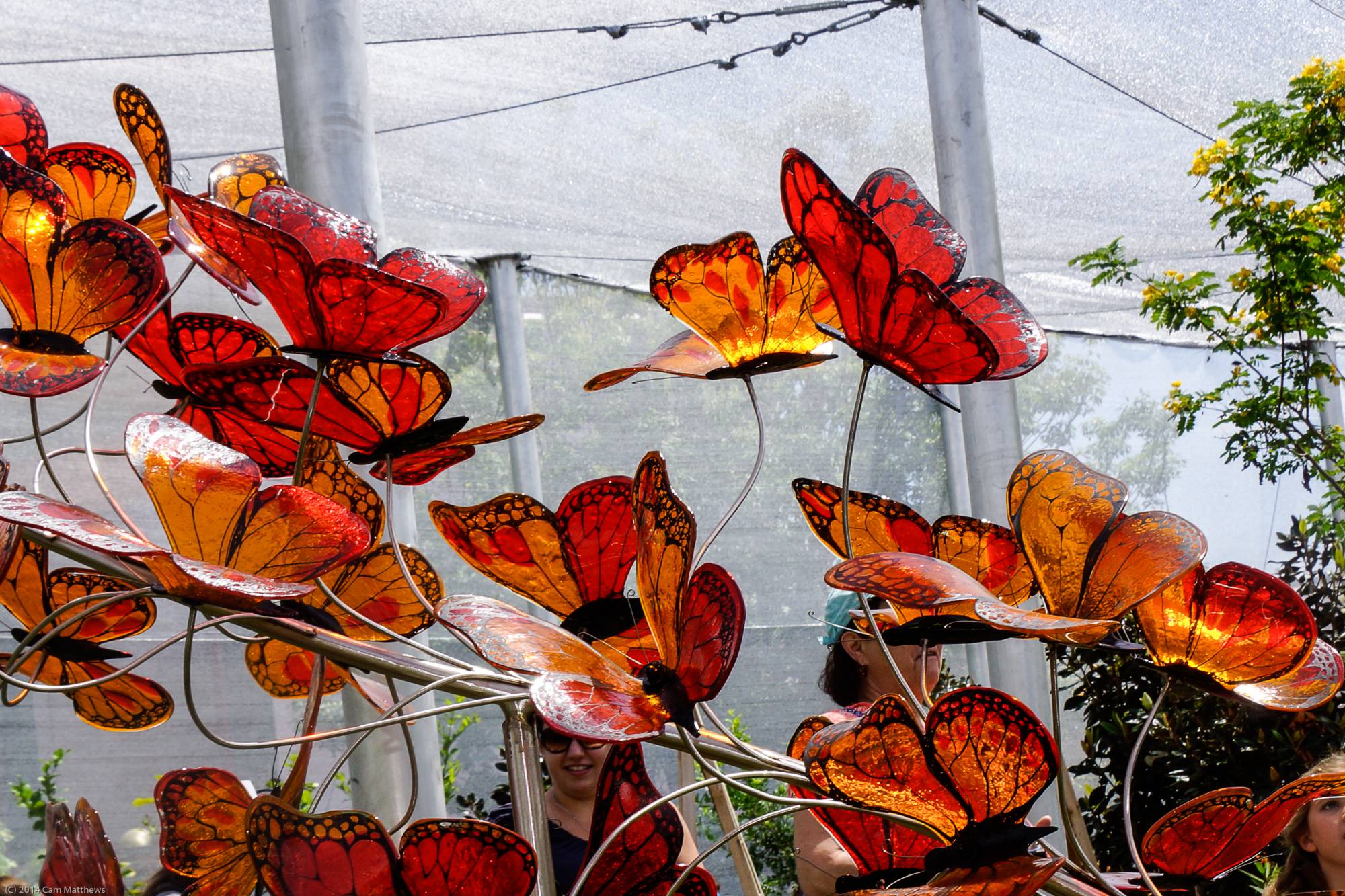 Fairy Butterfly Garden 22