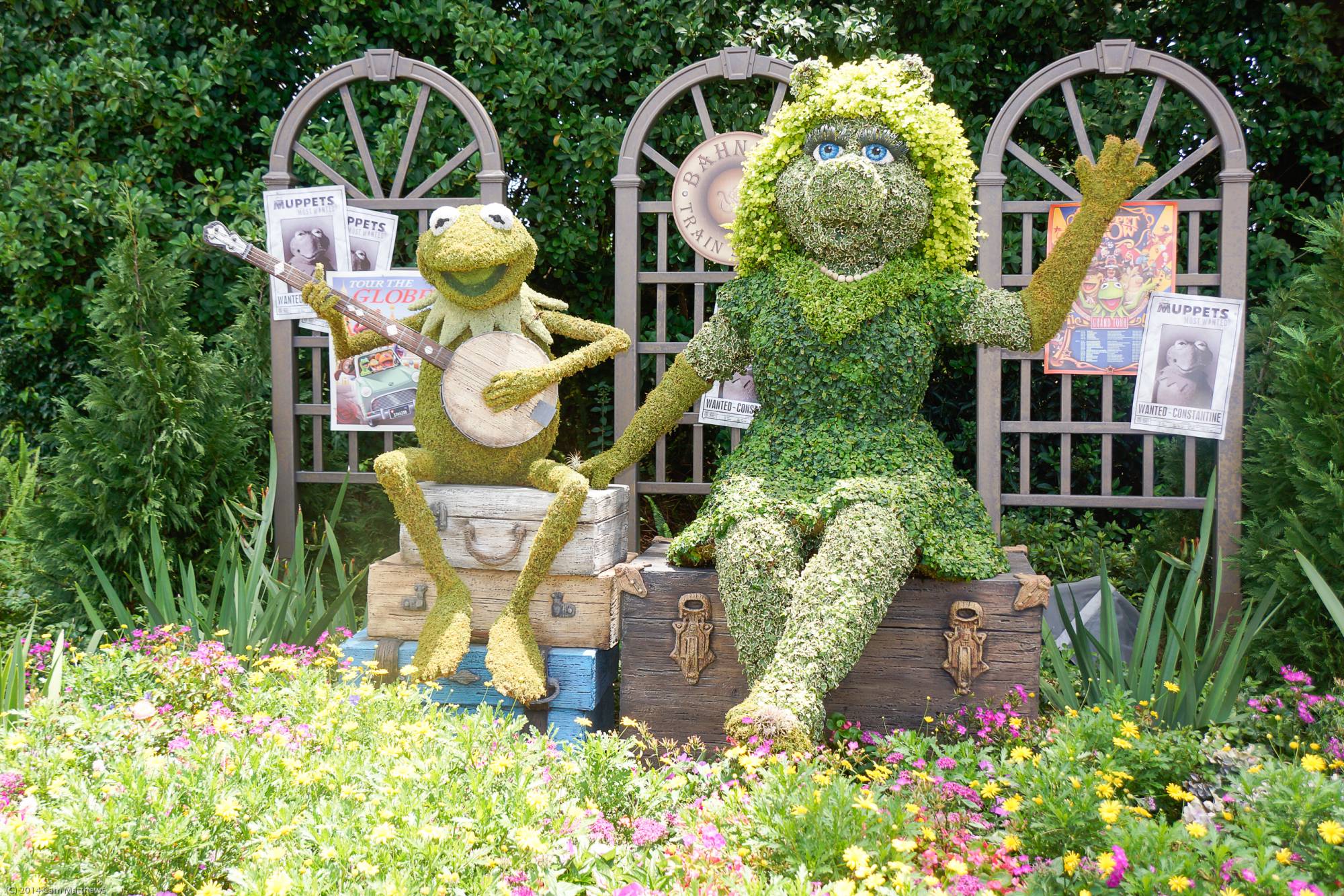 Kermit and Miss Piggy Topiaries 05