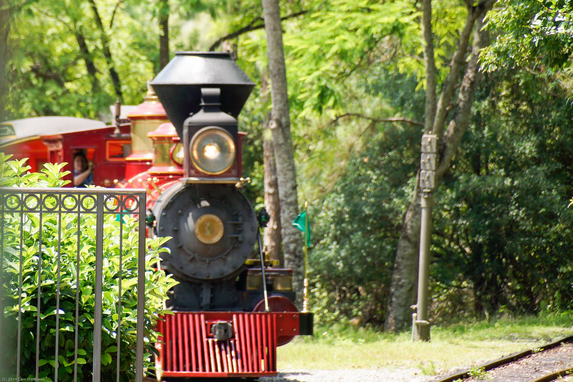 WDW Railroad Train 01