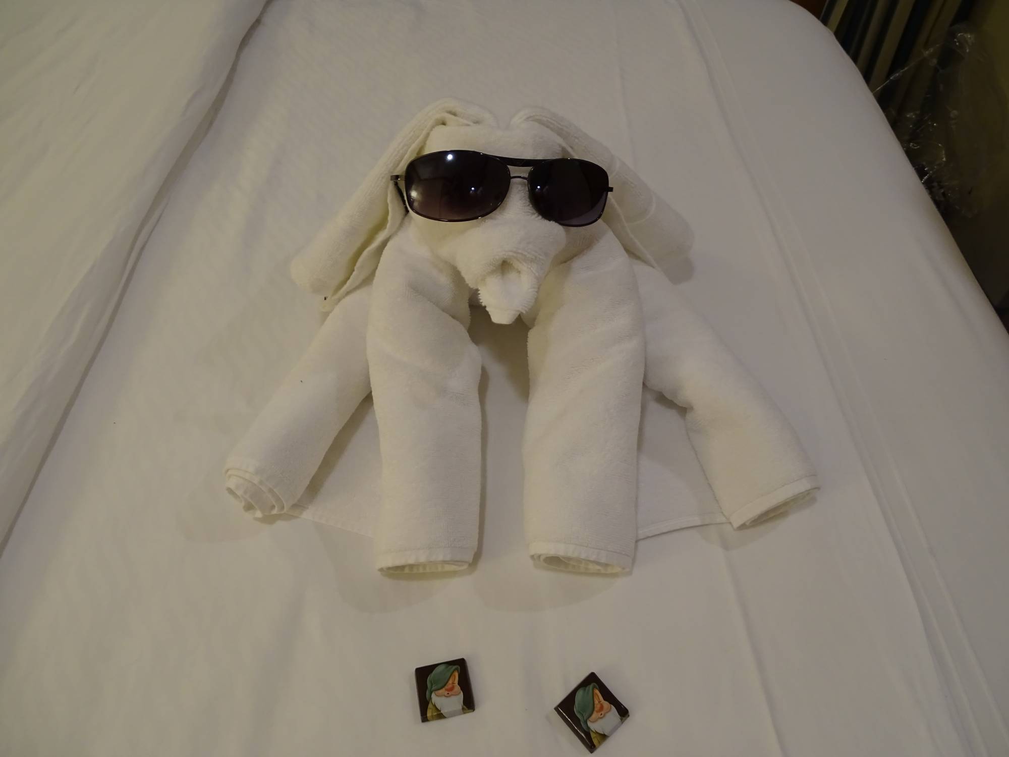 Disney Magic - towel animal