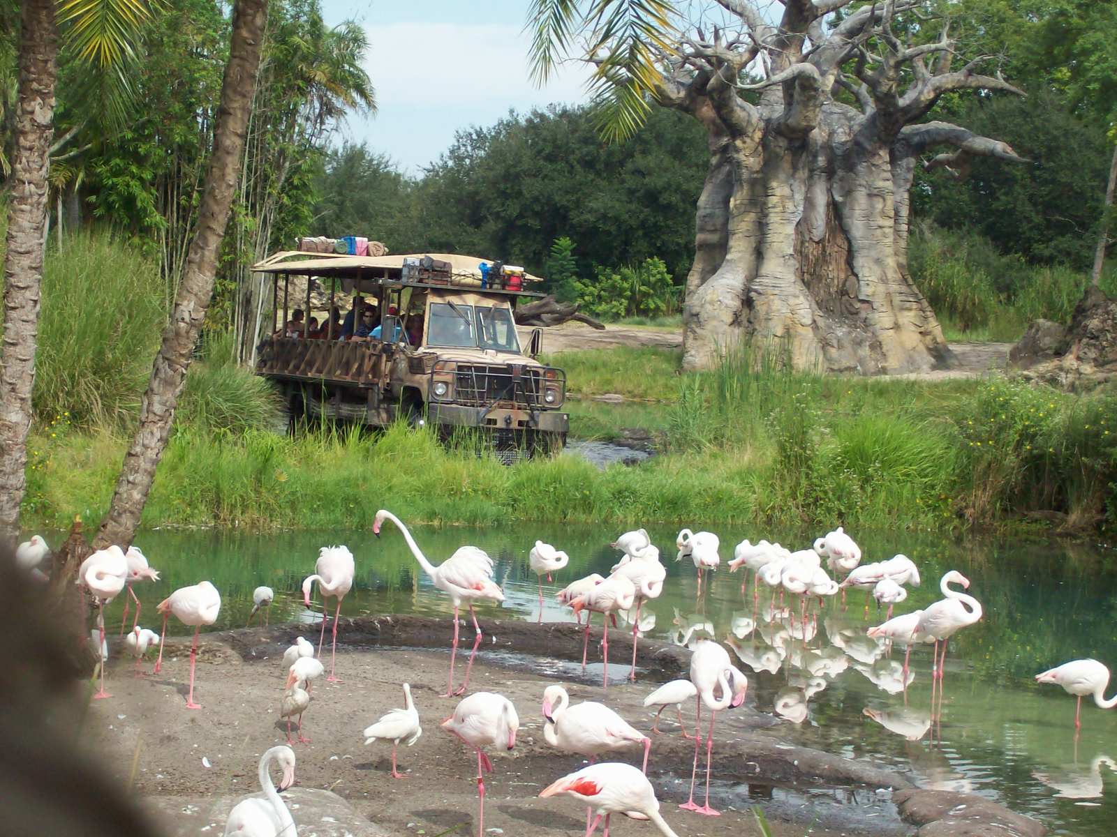 Kilimanjaro Safaris View