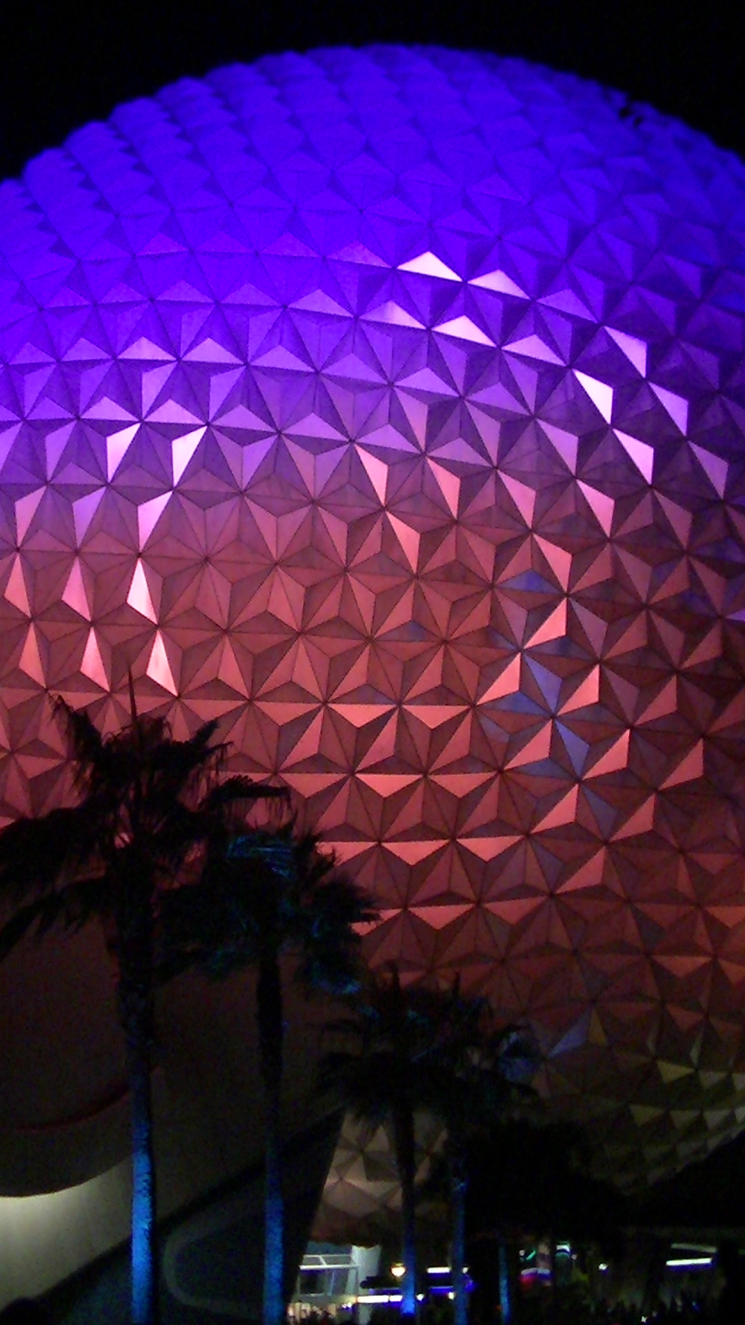 Glowing Epcot