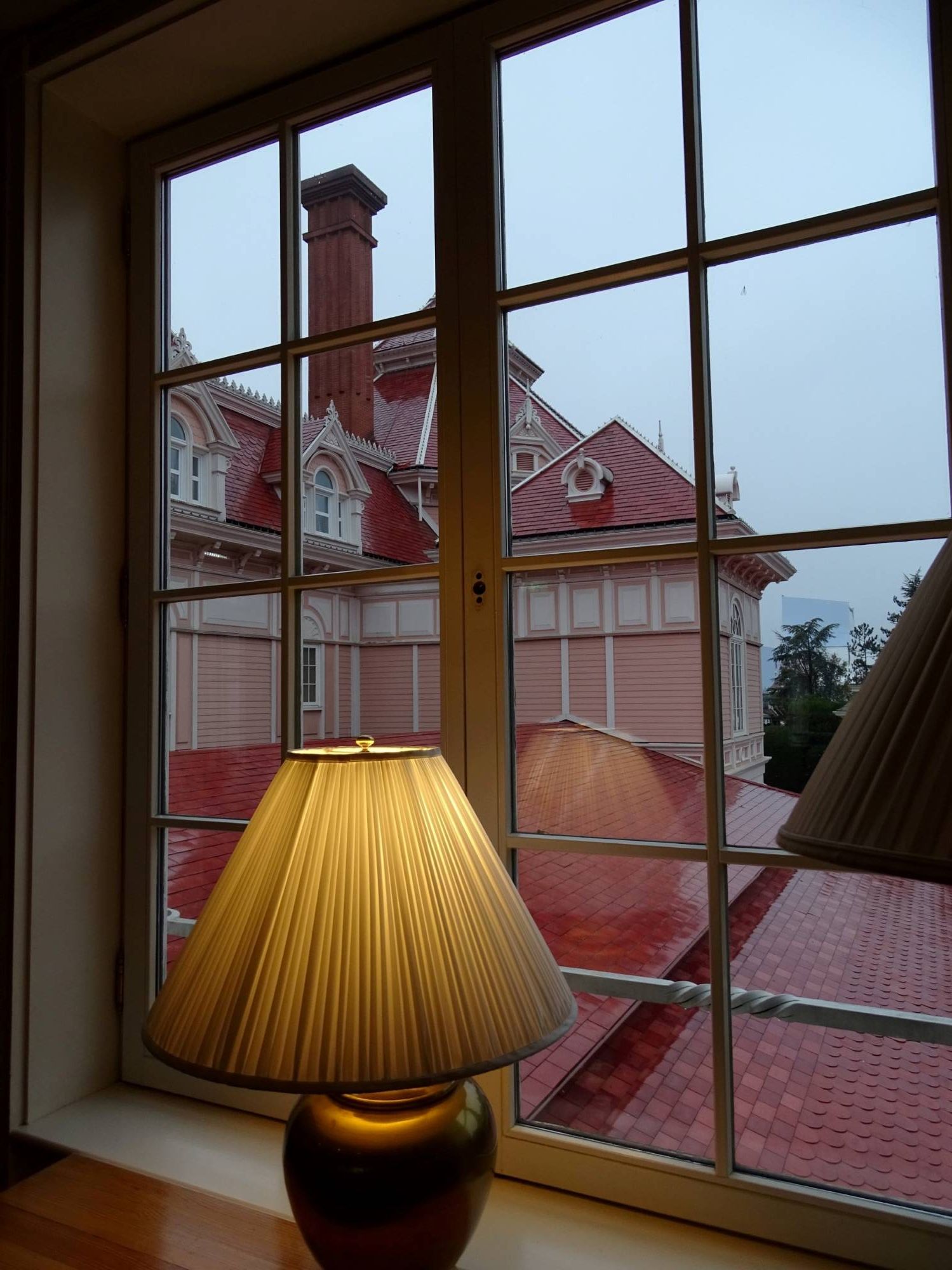 Disneyland Hotel - looking out