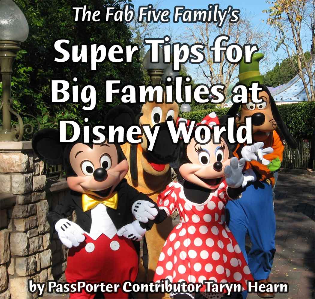 The Fab Five Family on Big Families at Walt Disney World