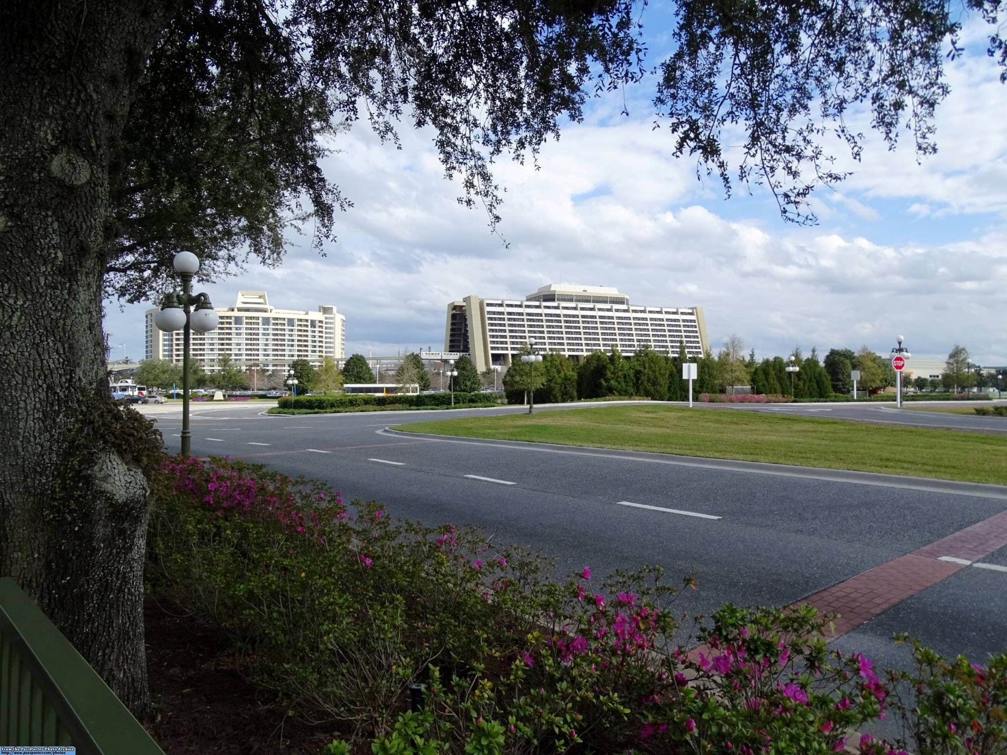 Contemporary and Bay Lake Tower